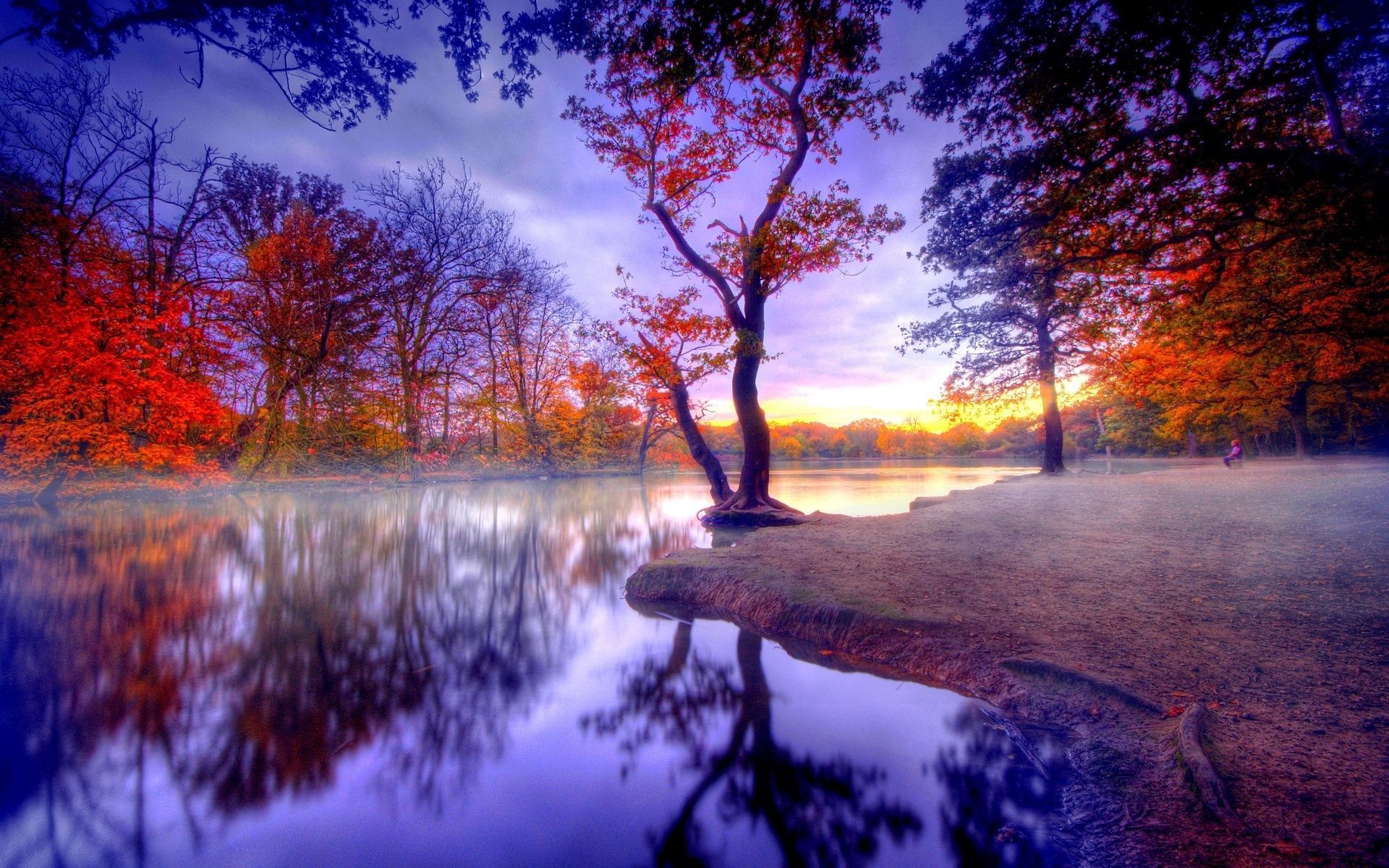 Herbst Kostenlos Hintergrundbild 1920x1200. Hintergrundbild für Handys: Natur, Stille, Bäume, See, Herbst, 121021 Bild kostenlos herunterladen