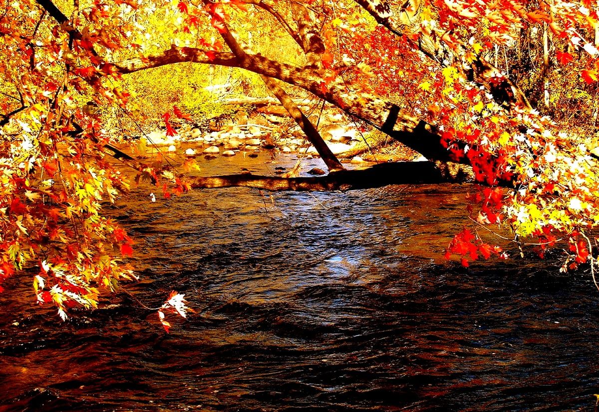 Herbst Kostenlos Hintergrundbild 1200x825. Fluss, Natur, Herbst Hintergrundbild. Kostenlose TOP Wallpaper