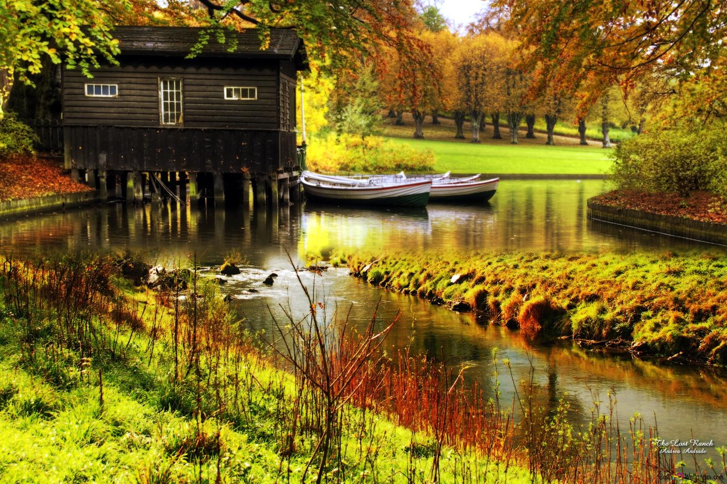 Herbst Kostenlos Hintergrundbild 1440x960. Herbst und Natur HD Hintergrundbild herunterladen