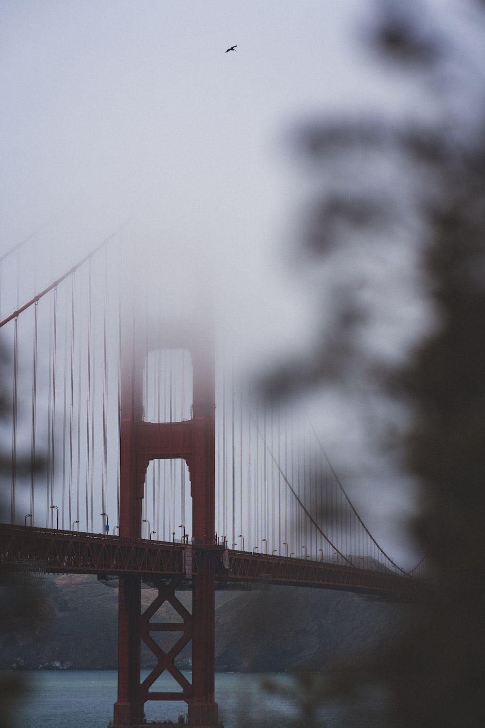  Brucke Hintergrundbild 1000x1500. Foto zum Thema Golden Gate Brücke San Francisco