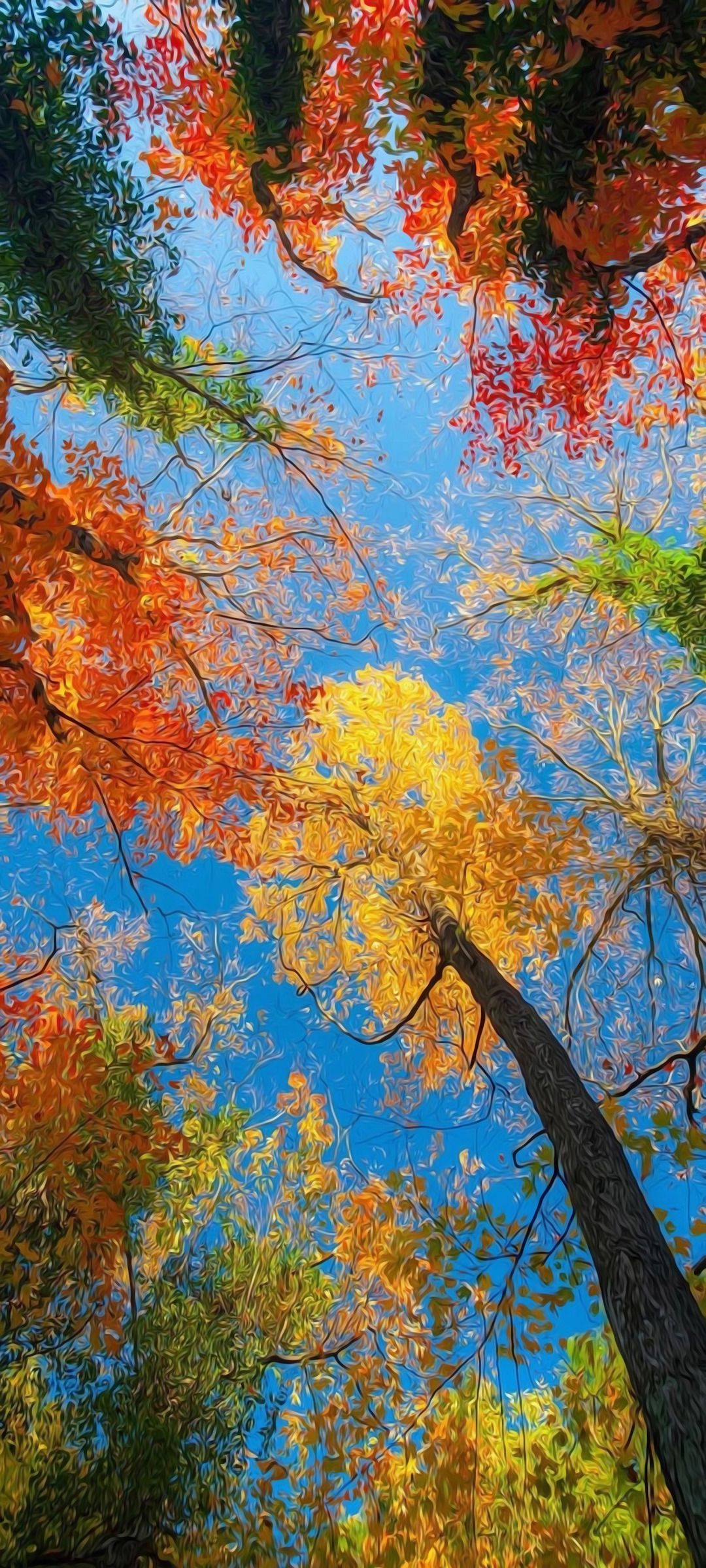 Herbst Kostenlos Hintergrundbild 1080x2400. Kostenlose Hintergrundbilder Herbst, Botanik, Menschen in Der Natur, Zweig, Branch, Bilder Für Ihren Desktop Und Fotos