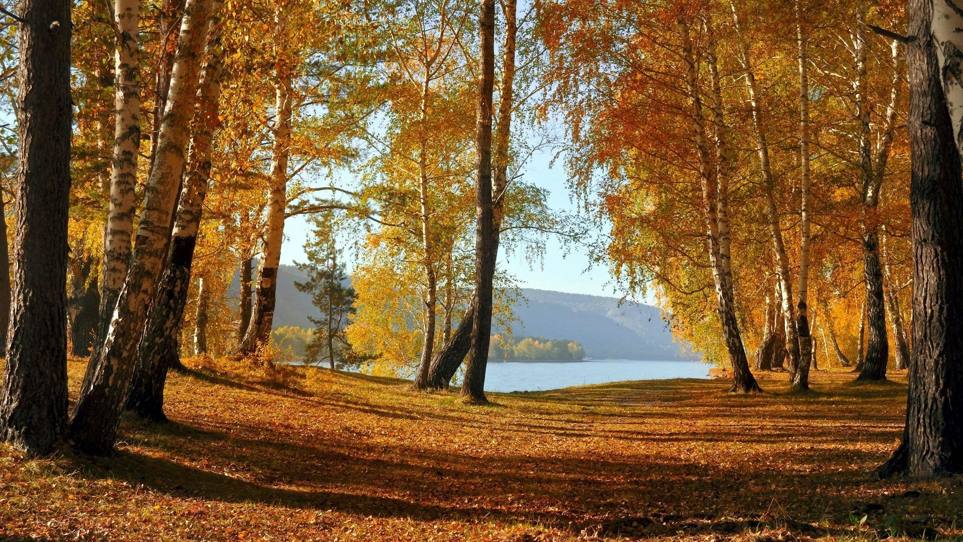 Herbst Kostenlos Hintergrundbild 1920x1080. Hintergrundbilder HD Kostenlos Herbst