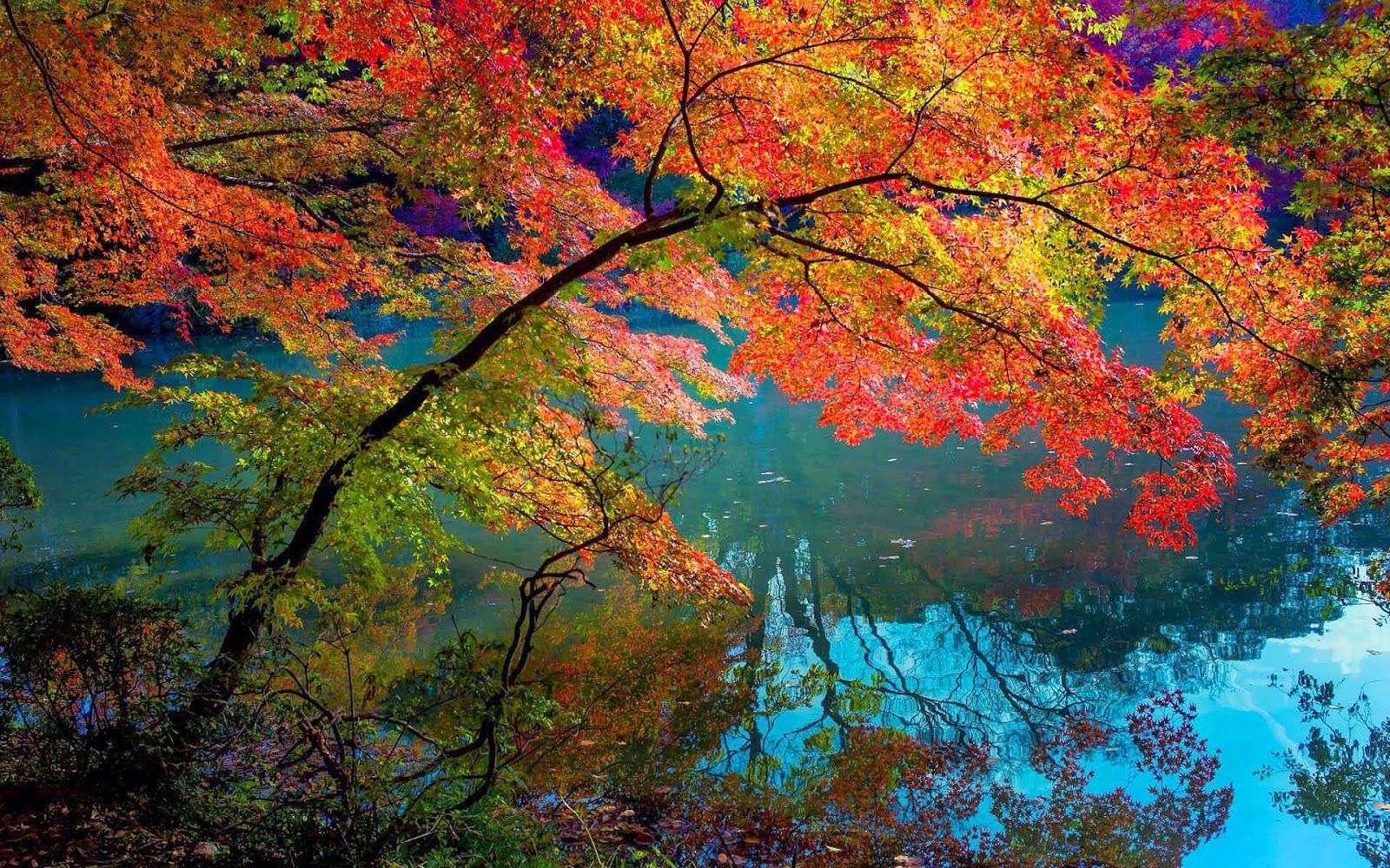 Herbst Kostenlos Hintergrundbild 1600x1000. Herbstferienangebote im Jugendzentrum Big House Big House