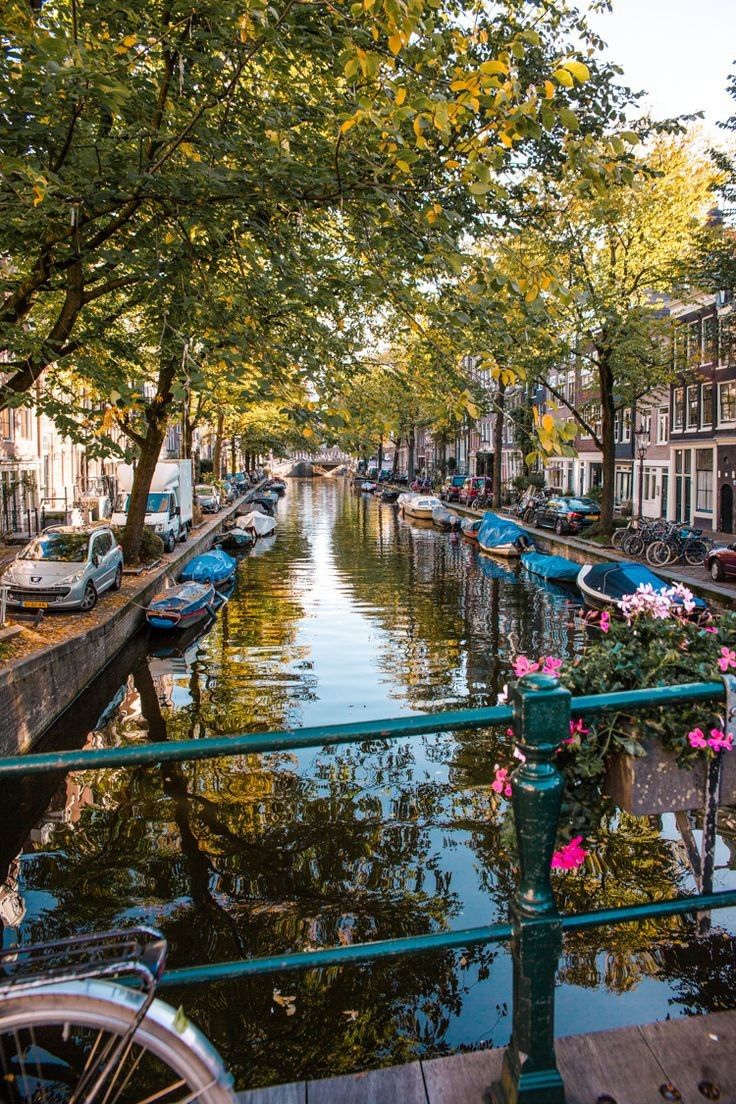  Amsterdam Hintergrundbild 736x1104. Aesthetic, Netherlands