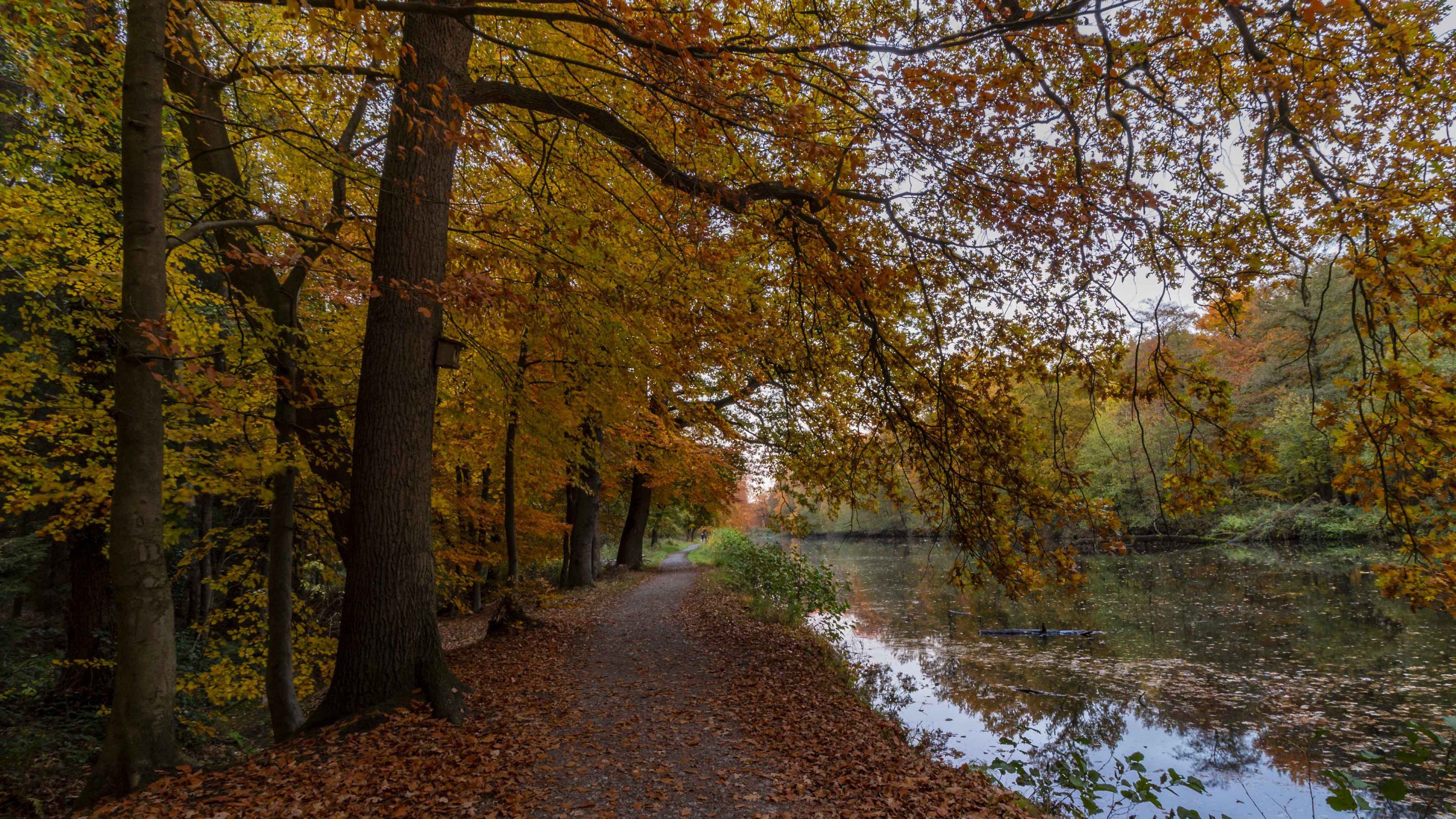 Herbst Kostenlos Hintergrundbild 2880x1620. Hintergrundbilder. Herbst im Schlosspark