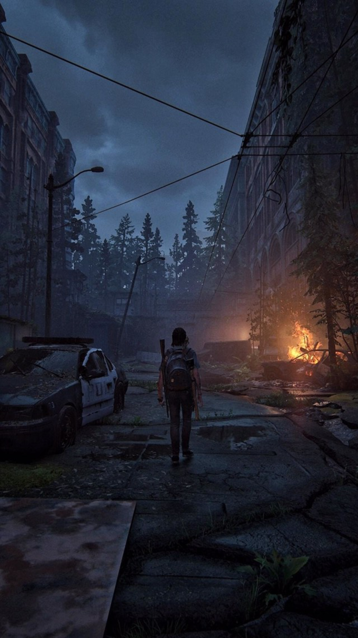  The Last Of Us Hintergrundbild 1242x2208. Épinglé par Biih sur Ellie / Tlou I, II. Image esthétiques, Illustration de paysage, Paysage apocalyptique