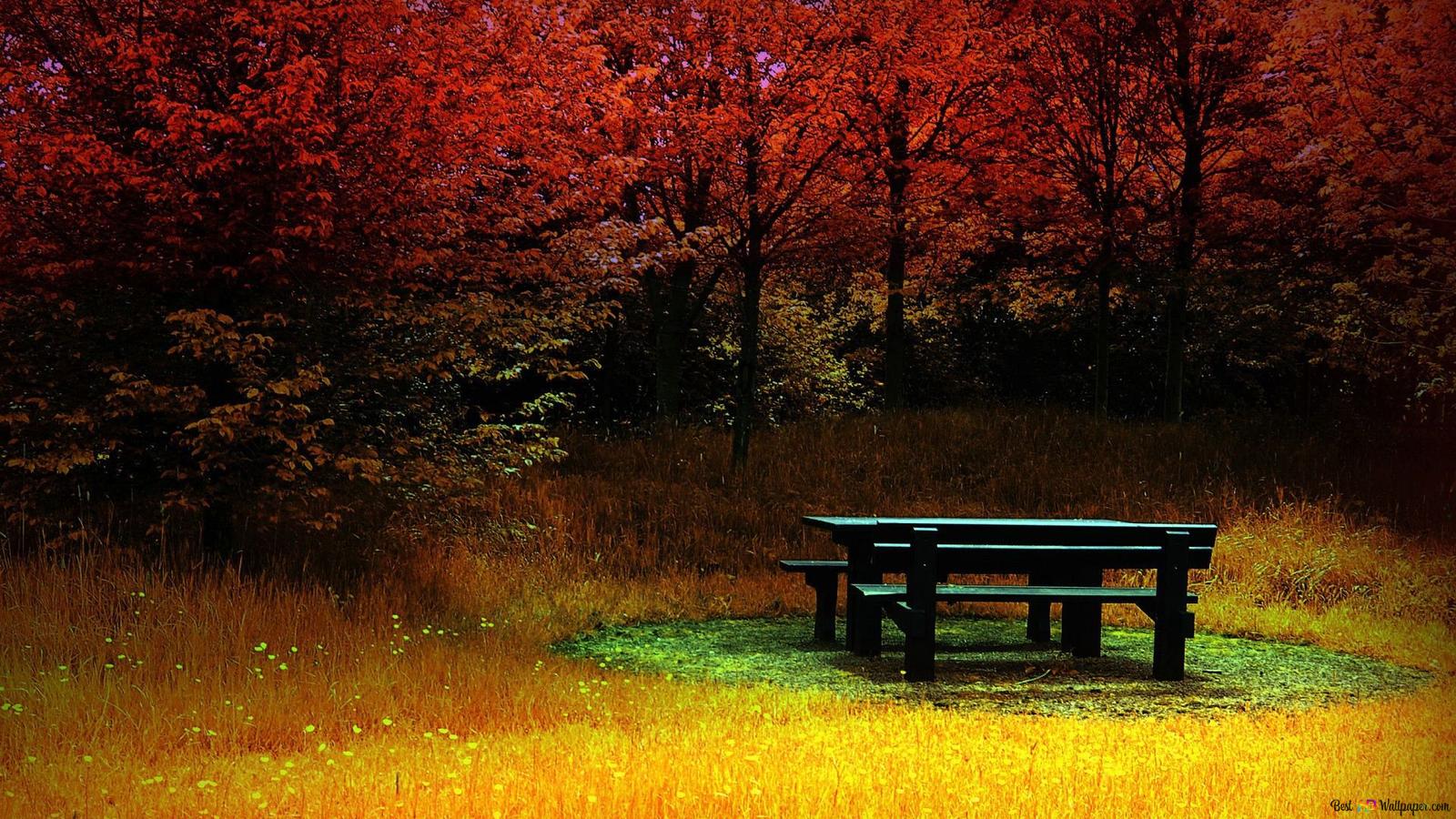 Herbst Kostenlos Hintergrundbild 1600x900. Schöne Natur im Herbst HD Hintergrundbild herunterladen