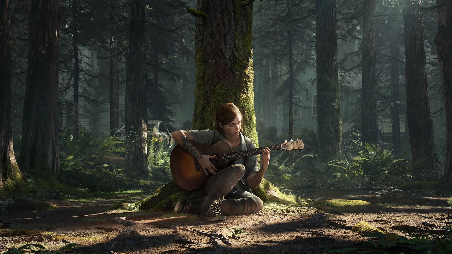  The Last Of Us Hintergrundbild 1920x1080. Download Peaceful Ellie The Last Of Us Wallpaper