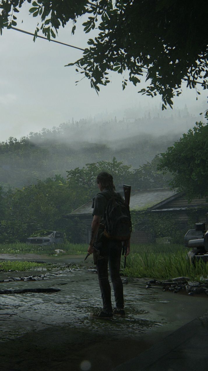  The Last Of Us Hintergrundbild 714x1275. Definitely “not” Ellie. The last of us, The lest of us, Edge of the universe