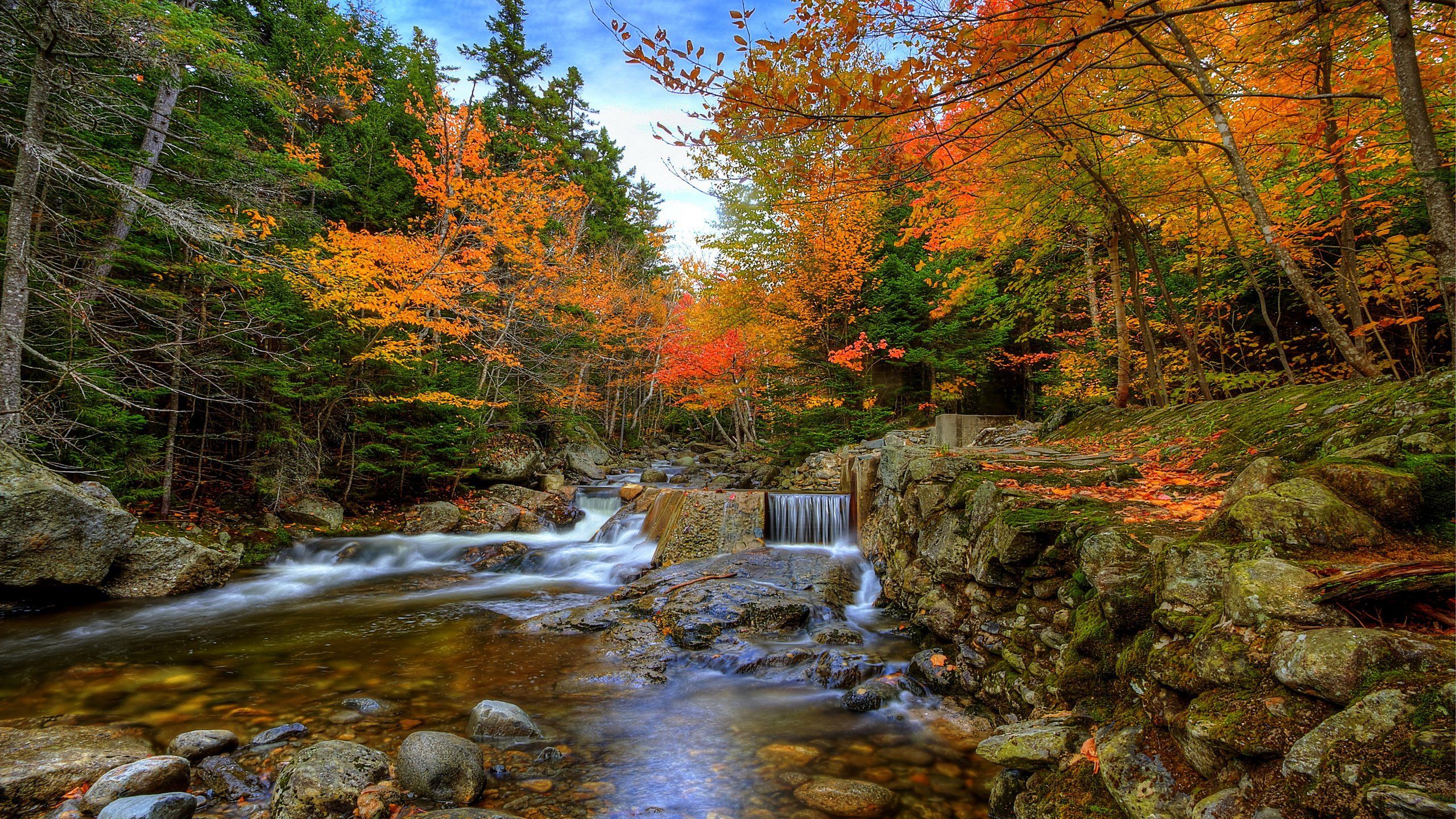 Herbst Kostenlos Hintergrundbild 2560x1440. Kostenlose Hintergrundbilder Herbst, Natur, Stream, Blatt, Wasser, Bilder Für Ihren Desktop Und Fotos