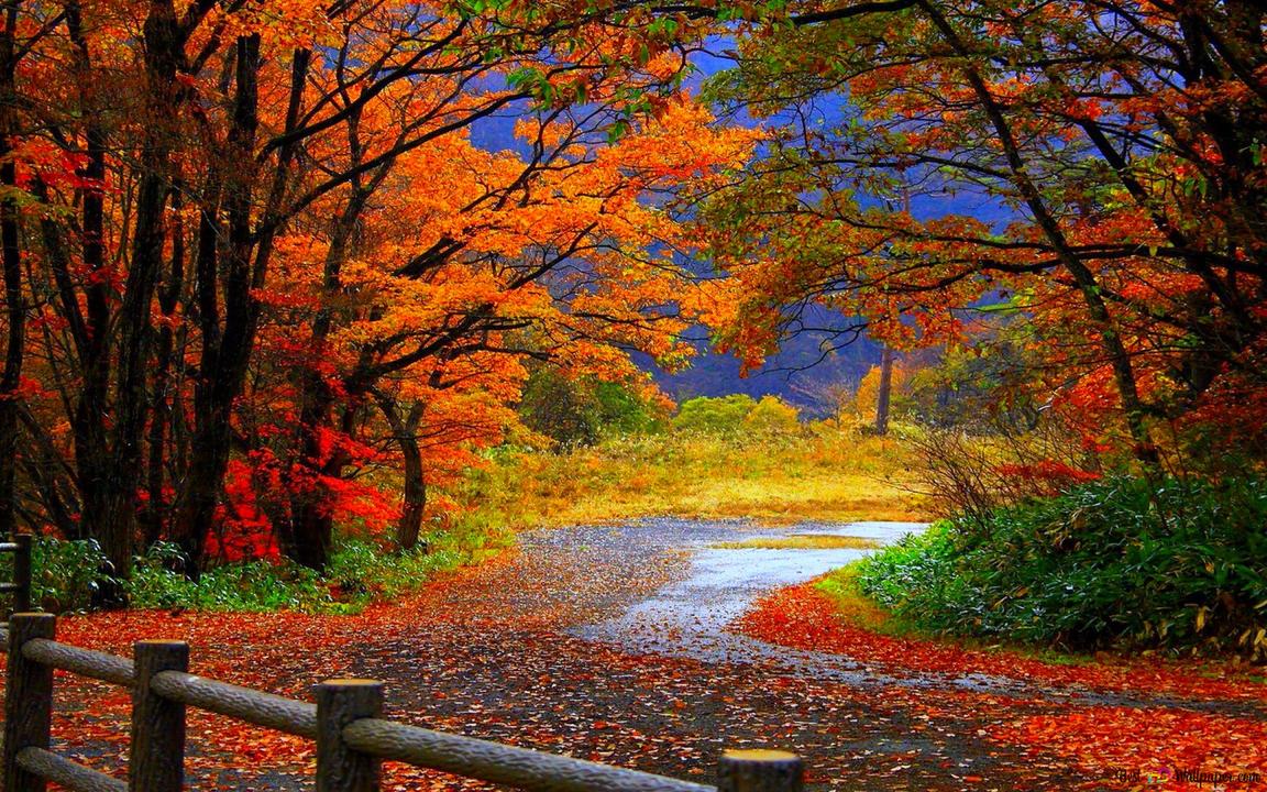 Herbst Kostenlos Hintergrundbild 1152x720. Schöne Herbstlandschaft HD Hintergrundbild herunterladen
