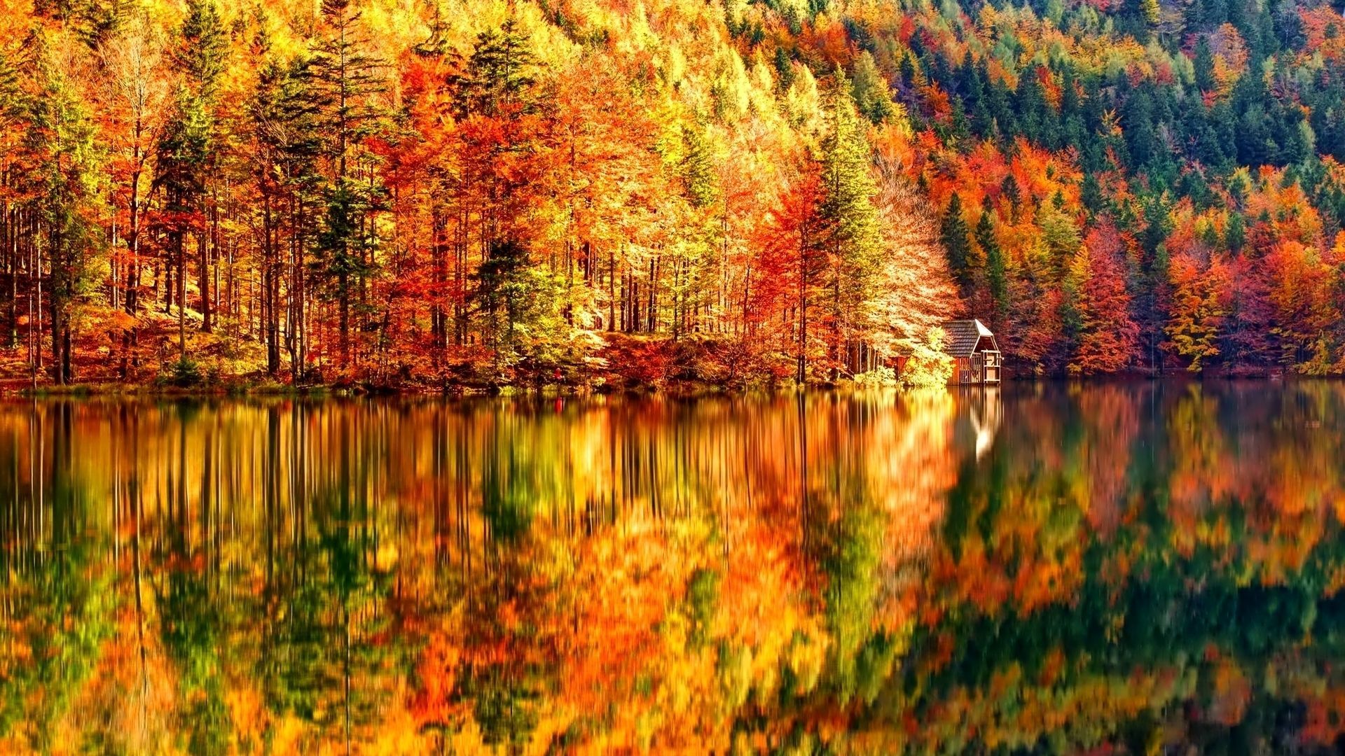 Herbst Kostenlos Hintergrundbild 1920x1080. wallpaper x1080 #desktop. Autumn landscape, Desktop wallpaper fall, Landscape wallpaper
