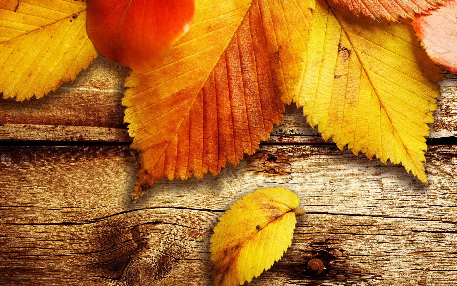 Herbst Kostenlos Hintergrundbild 1920x1200. Herbst Wallpaper