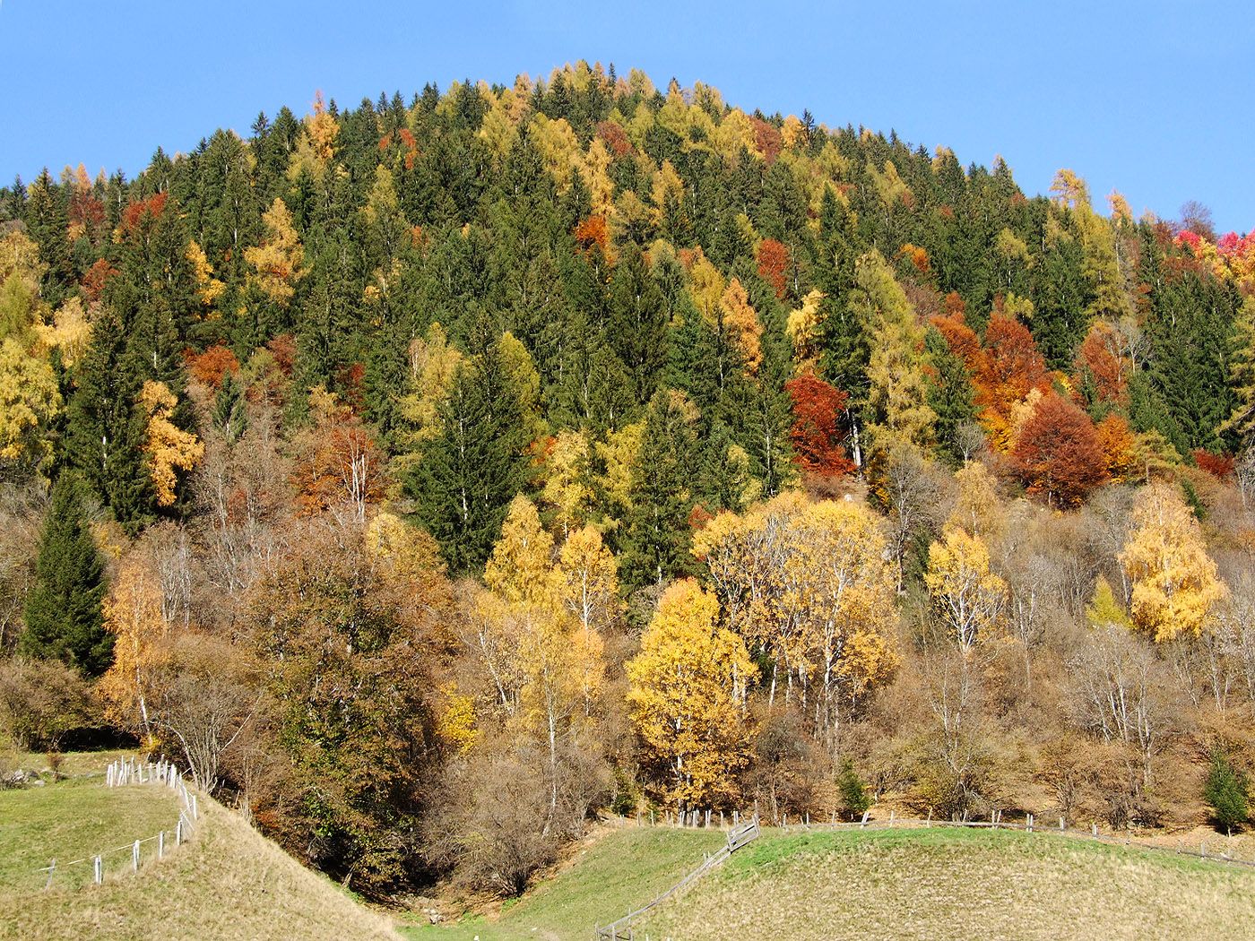 Herbst Kostenlos Hintergrundbild 1400x1050. Schöne Herbstbilder kostenlos ohne Registrierung