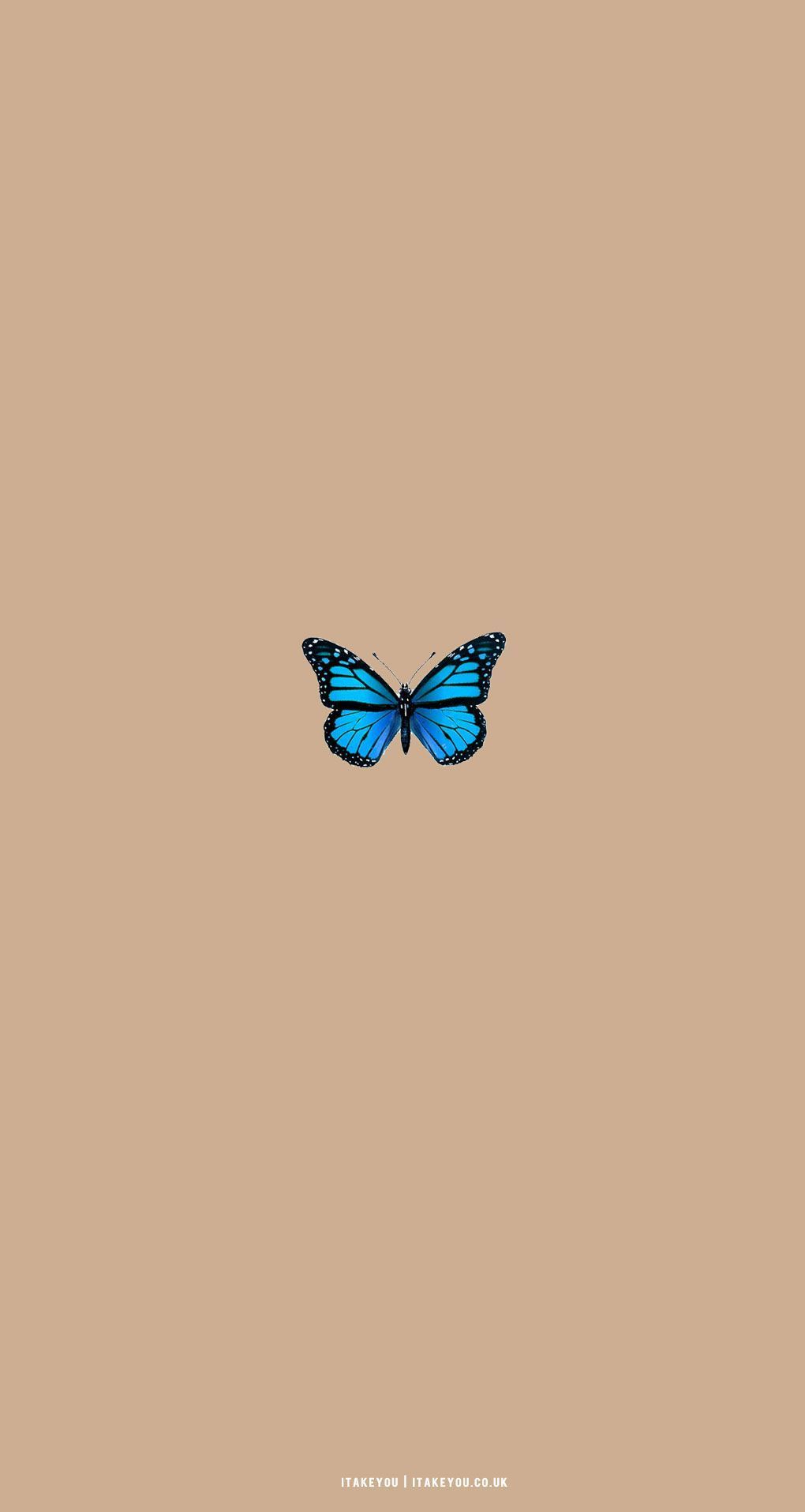 Schmetterling Hintergrundbild 1020x1915. Cute Brown Aesthetic Wallpaper for Phone : Blue Butterfly I Take You. Wedding Readings. Wedding Ideas