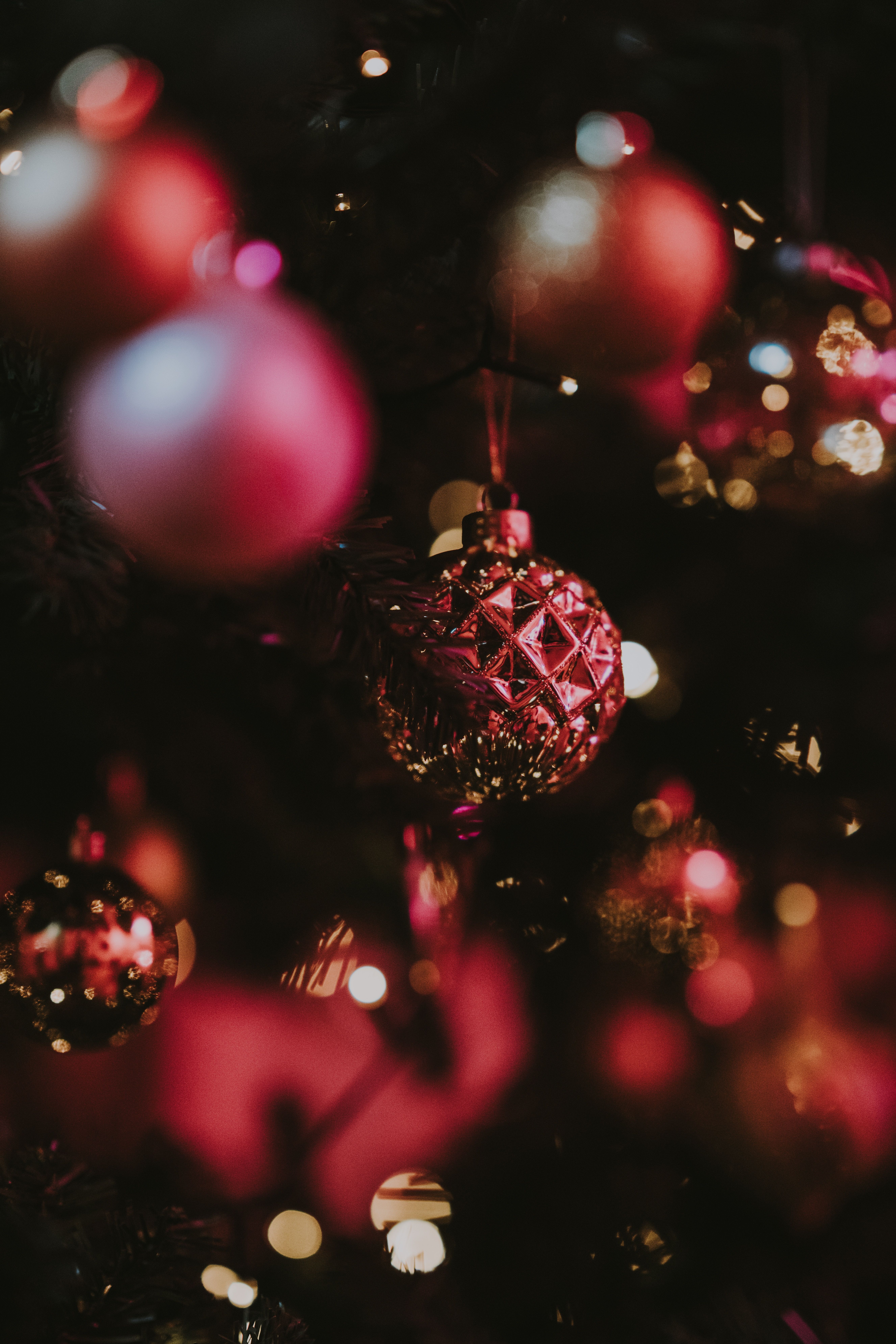  Weihnachtsbaum Hintergrundbild 5304x7952. Kostenlose Hintergrundbilder Weihnachten, Christmas Ornament, Verzierung, Pink, Licht, Bilder Für Ihren Desktop Und Fotos
