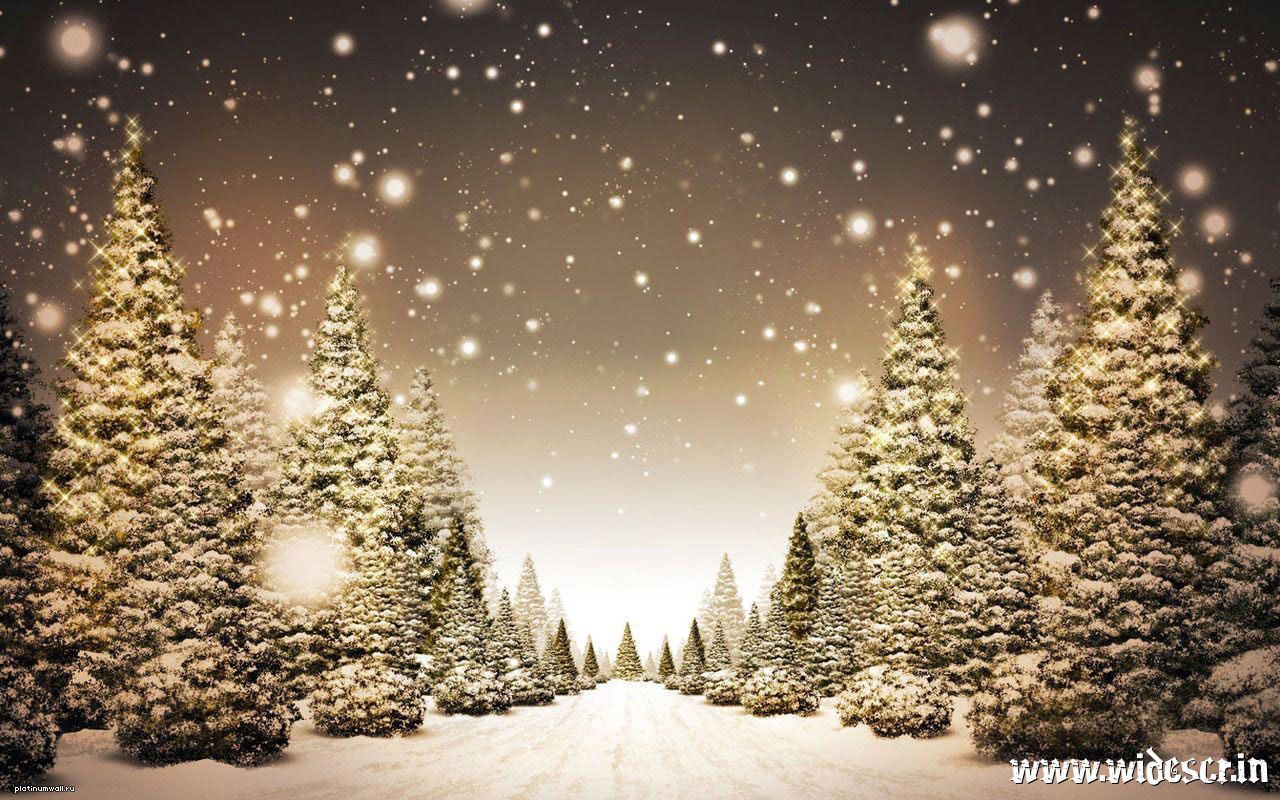  Weihnachtliche Hintergrundbild 1280x800. Hintergrundbild für Handys: Landschaft, Winter, Schnee, Tannenbaum, 19372 Bild kostenlos herunterladen