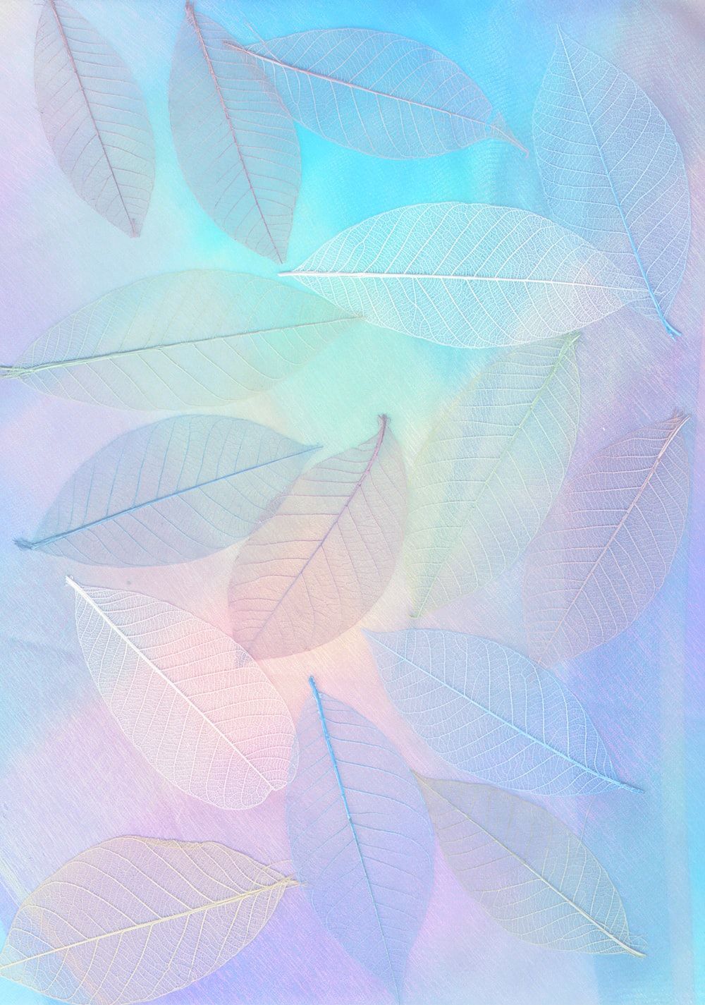  Pastell Hintergrundbild 1000x1425. Pastel Wallpaper: Free HD Download [HQ]
