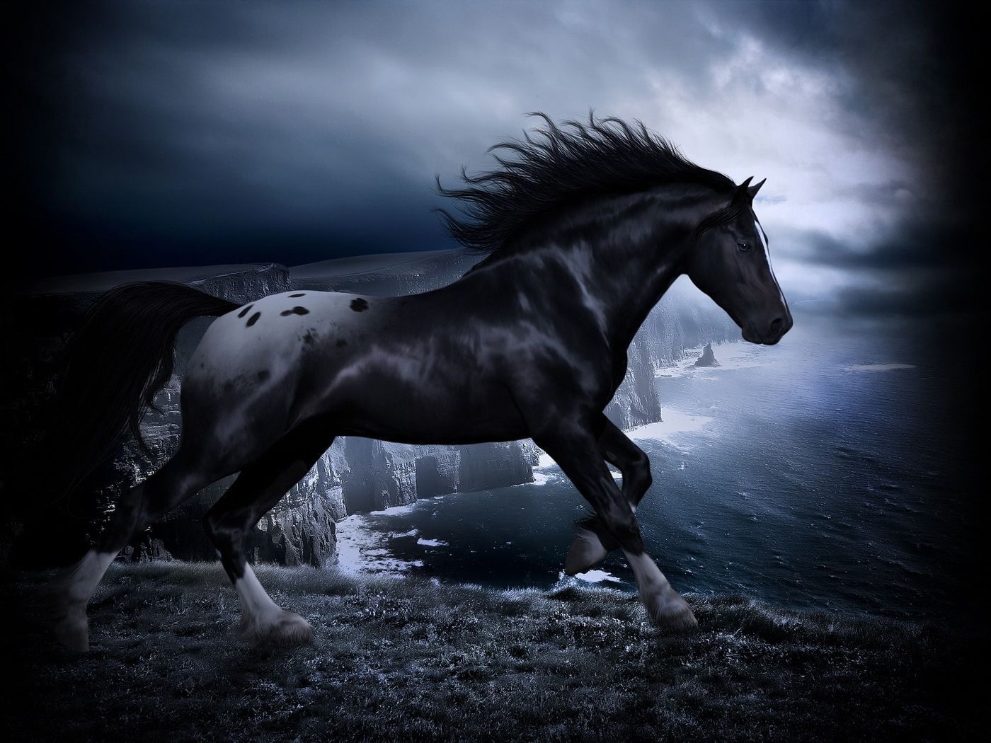  Tiere Hintergrundbild 1400x1050. HD Desktop Wallpaper: Tiere, Pferde Kostenloses Bild Herunterladen