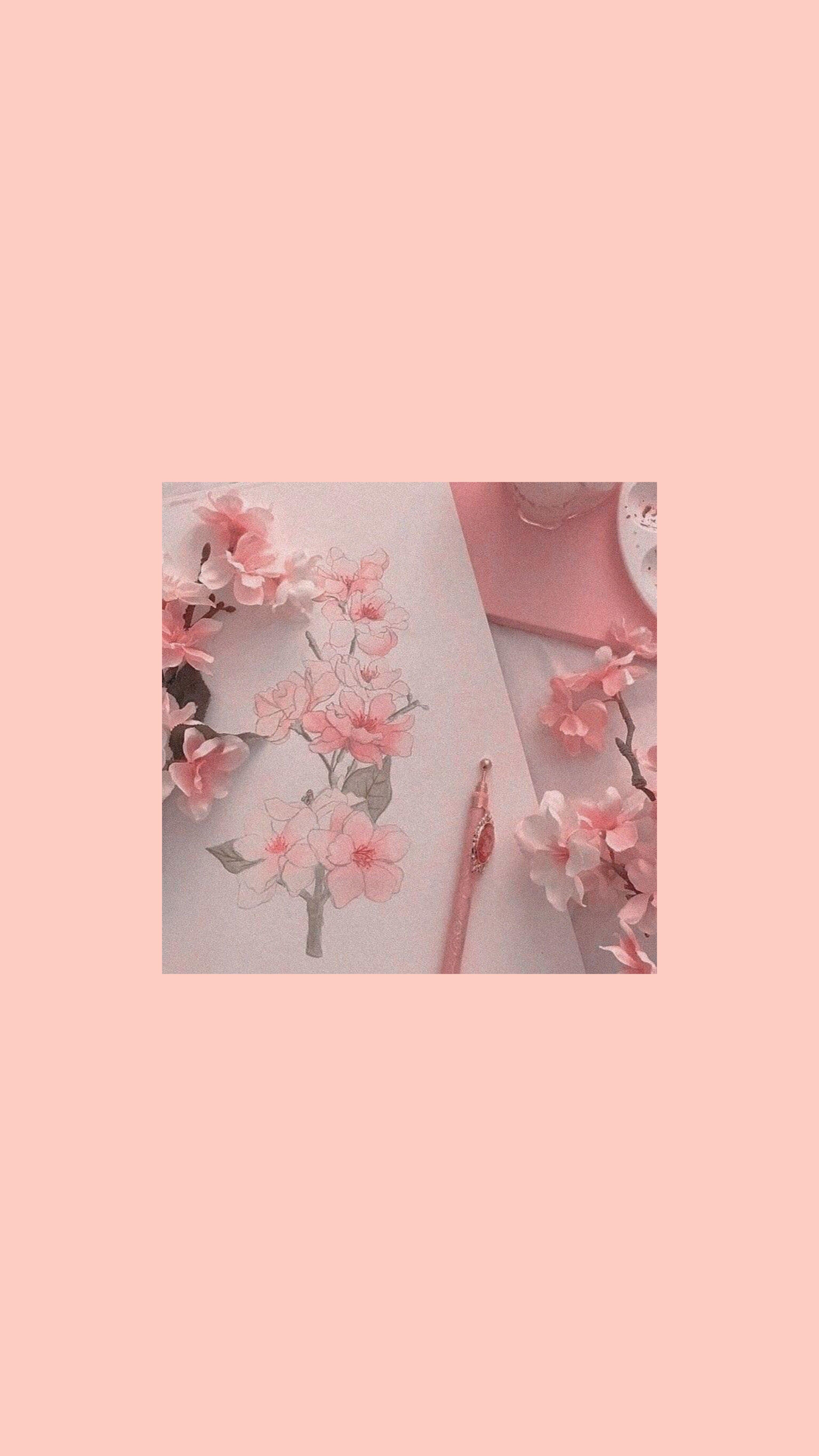  Pinke Hintergrundbild 3072x5460. Soft Pink Aesthetic Wallpaper
