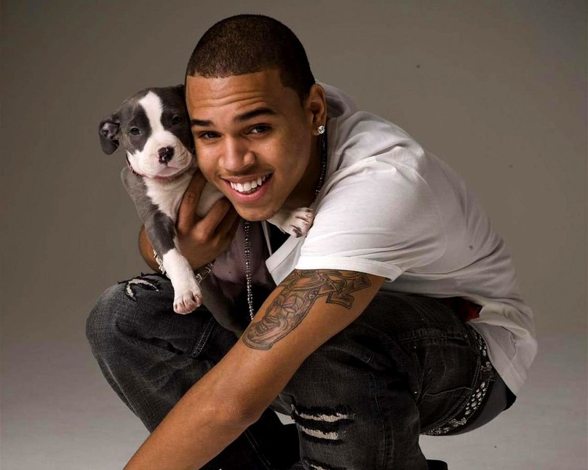  Hunde Hintergrundbild 1200x960. Hintergrundbild Chris Brown, Hunde, Tiere. Beste kostenlose Hintergründe