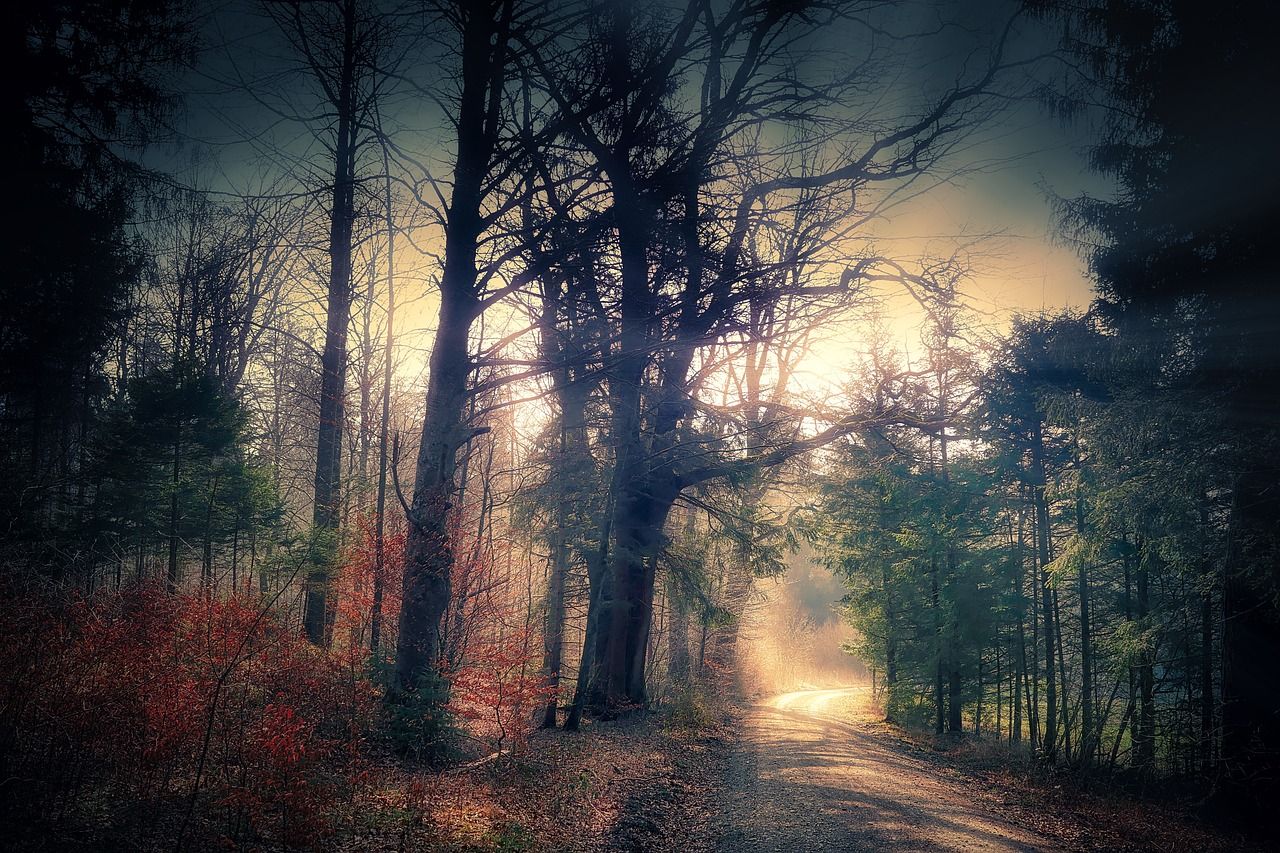  Mystisch Hintergrundbild 1280x853. Mystisch Wald Weg Foto auf Pixabay
