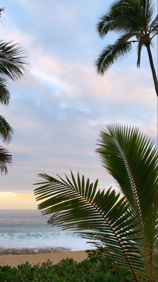  Sand Hintergrundbild 676x1200. hawai'i 彡. Scenery wallpaper, Sky aesthetic, Ocean wallpaper
