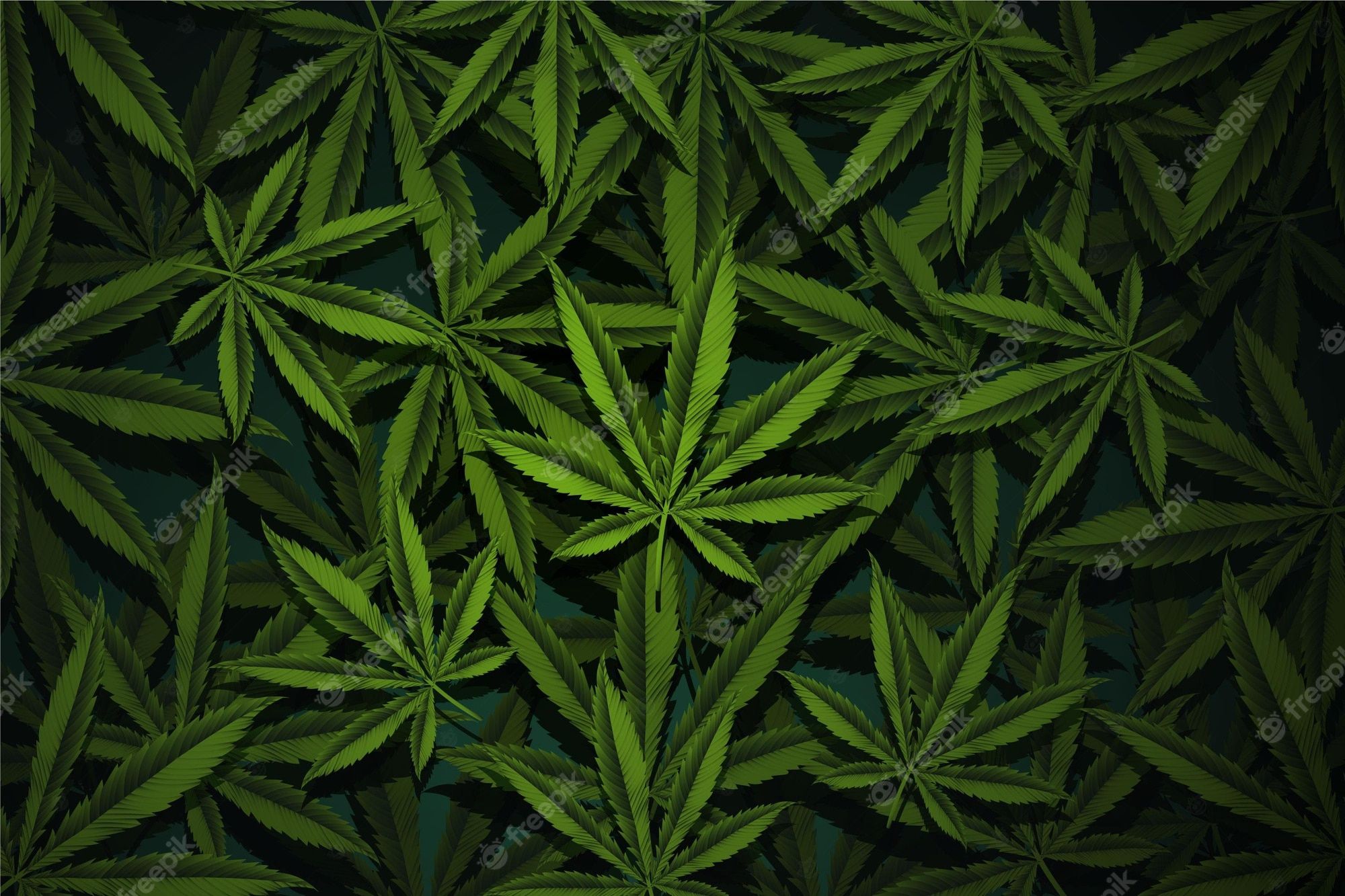  Weed Hintergrundbild 2000x1333. Cannabis Wallpaper Bilder Download auf Freepik