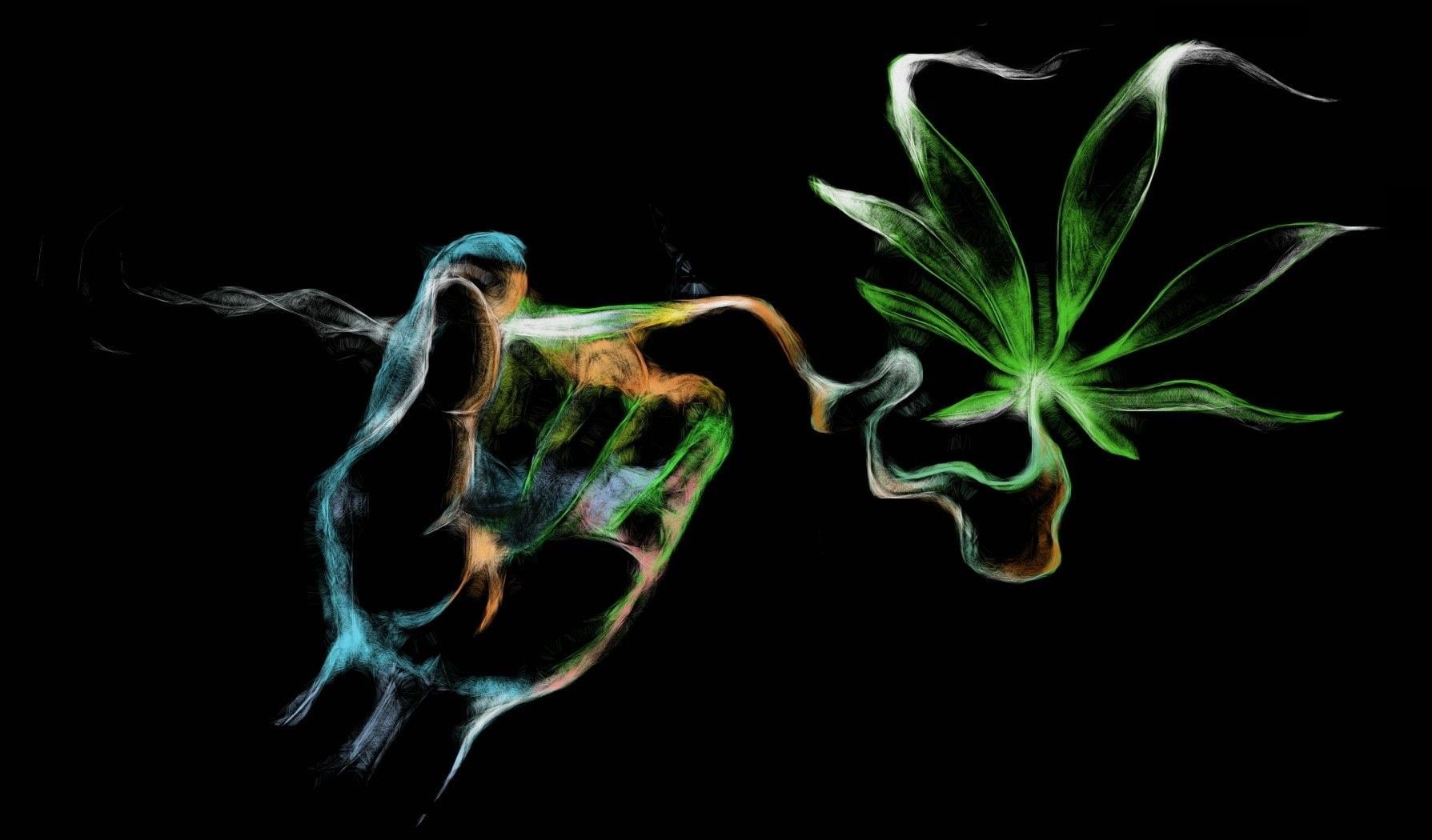  Weed Hintergrundbild 1789x1050. Wallpaper / weed, rasta, drug, 720P, psychedelic, plant, marijuana, cannabis, reggae, drugs, trippy, nature free download