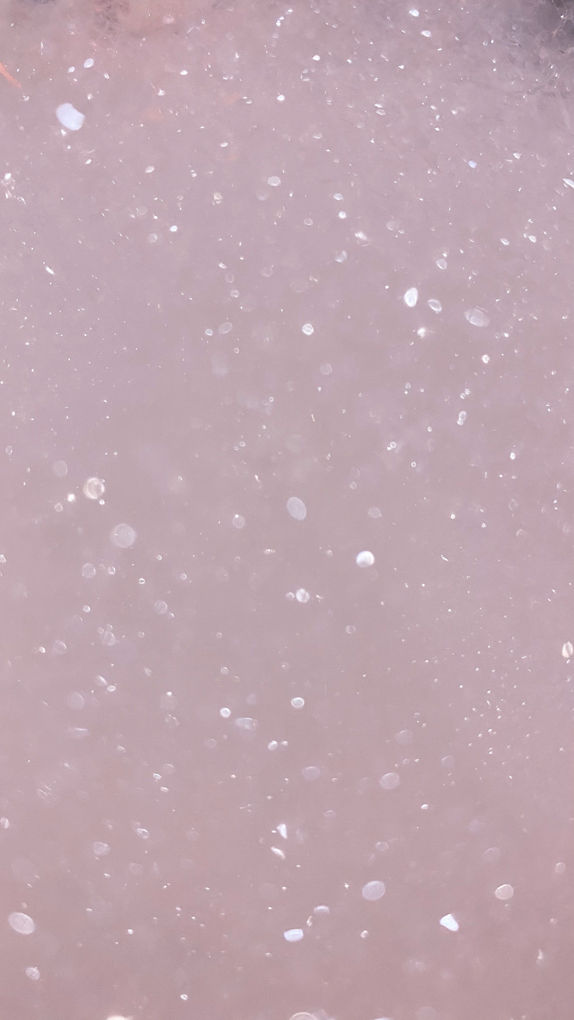  Glitzer Schwarz Hintergrundbild 2268x4032. Kostenloses Foto zum Thema: abstrakt, blasen, blowing bubbles, funkeln, glitzer hintergrund, glitzertapete, hintergrund, luftblasen, muster, pink, seifenblasen, textur, wallpaper