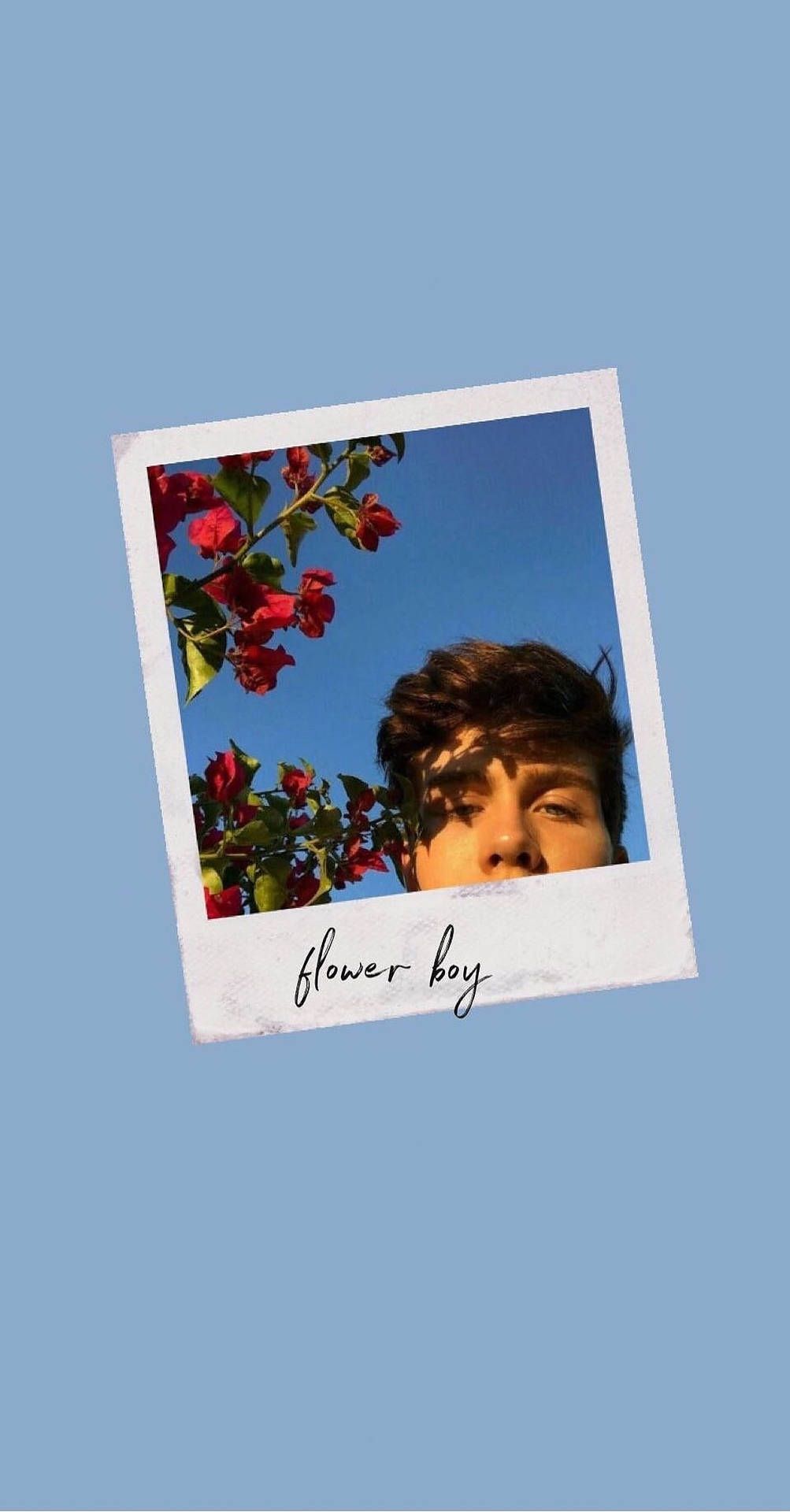  Polaroid Hintergrundbild 1003x1920. Download Polaroid Flower Boy Wallpaper