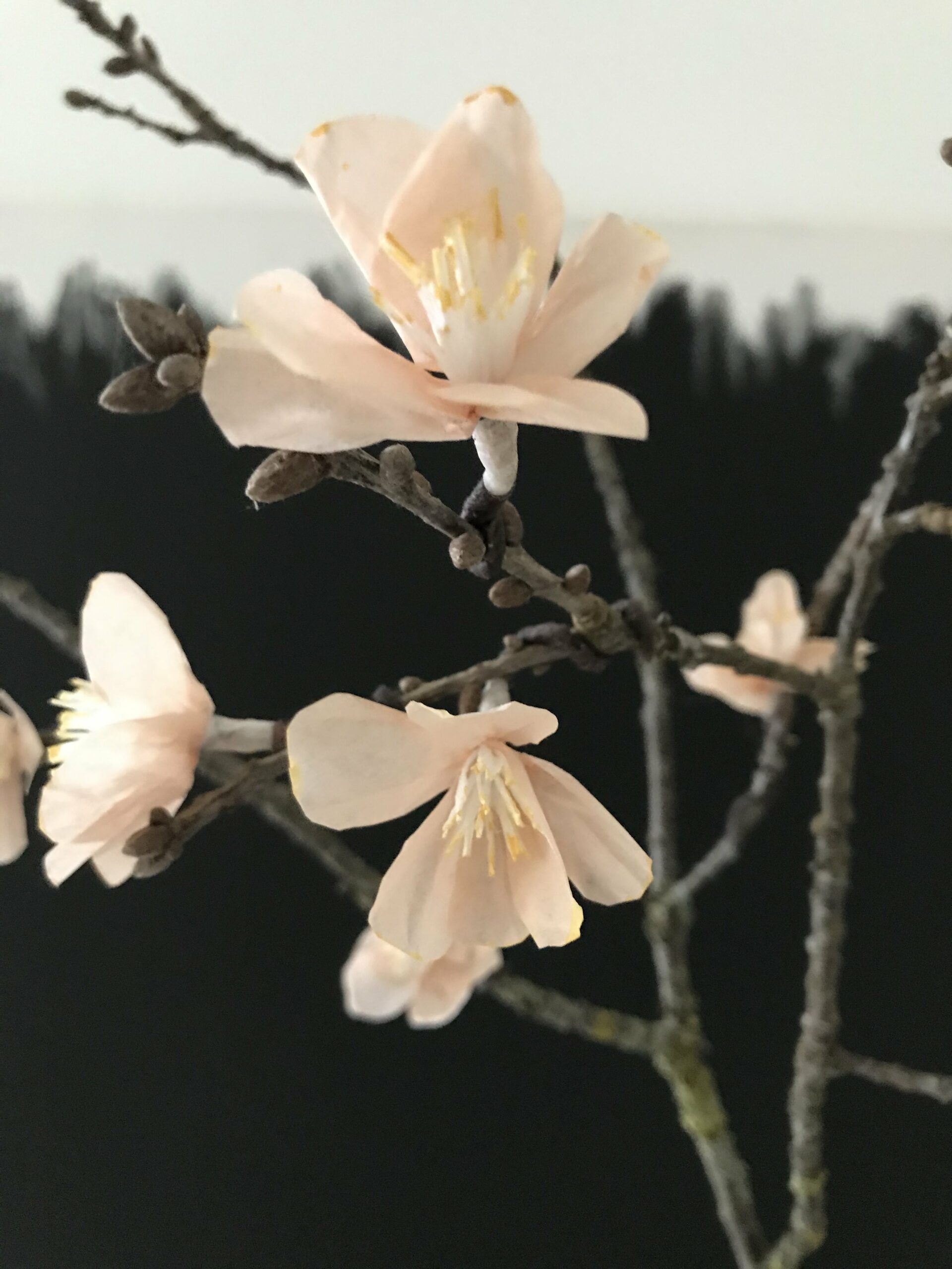  Frühlingslandschaften Hintergrundbild 1920x2560. DIY: Papierblume basteln im Frühling