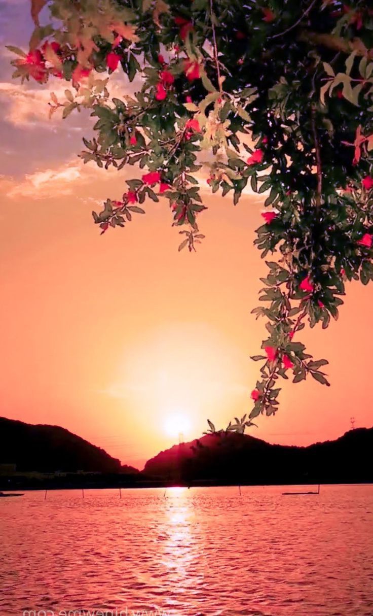 Natur Hintergrundbild 736x1214. My Anh on Sunset. Beautiful nature wallpaper, Beautiful nature picture, Beautiful nature