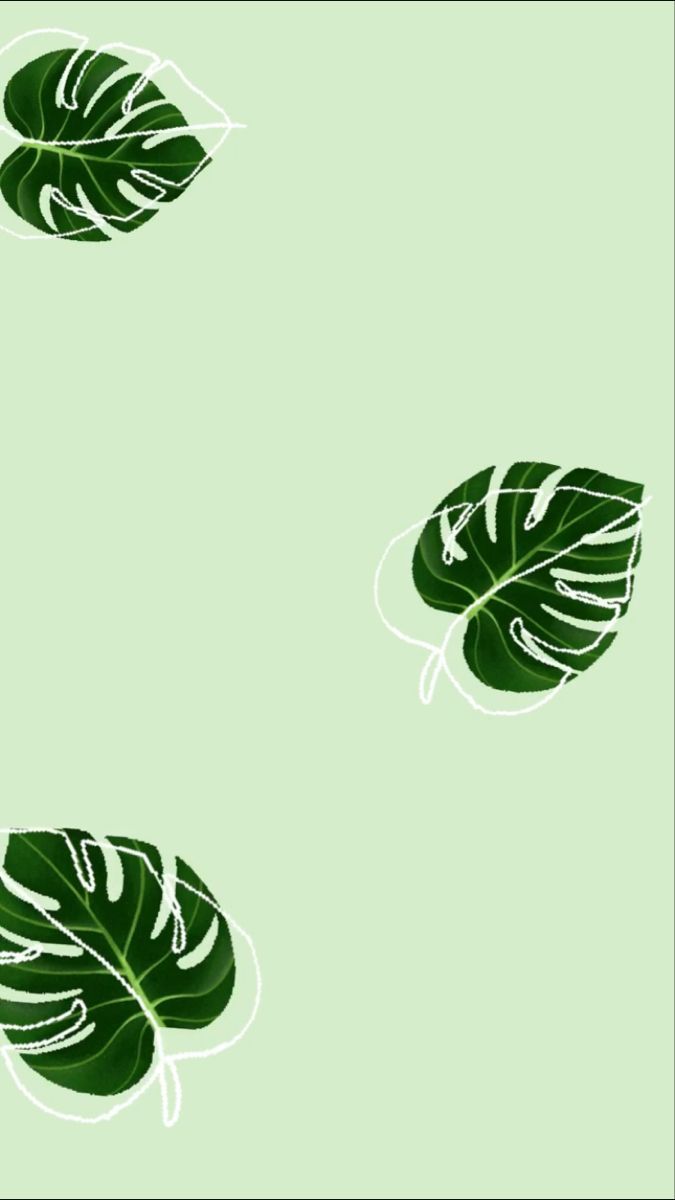  Blätter Hintergrundbild 675x1200. Wallpaper. Mint green wallpaper, iPhone wallpaper green, Leaves wallpaper iphone