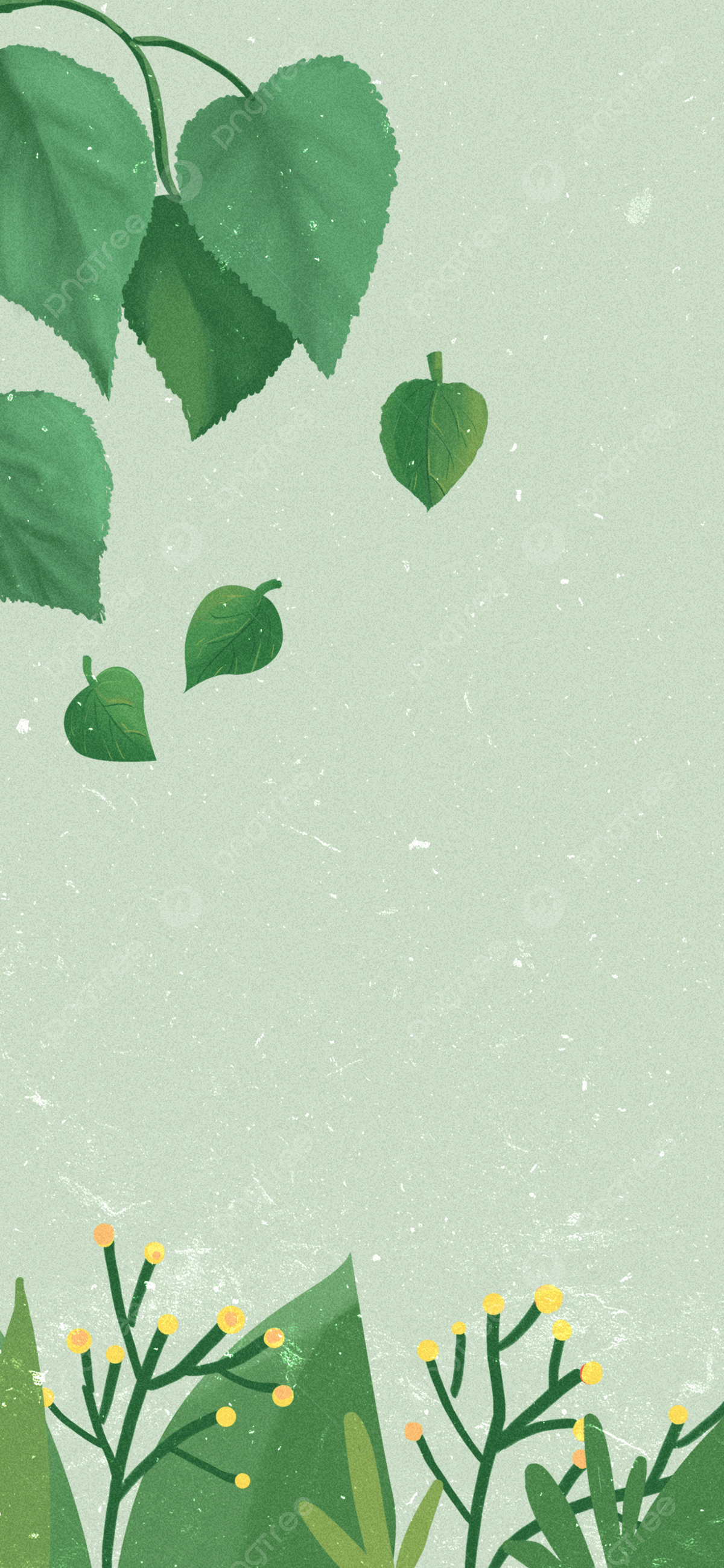  Grüne Blätter Hintergrundbild 1200x2598. Kreative Ästhetik Kleiner Klarer Pflanzenhintergrund Hintergrundbild zum kostenlosen Download