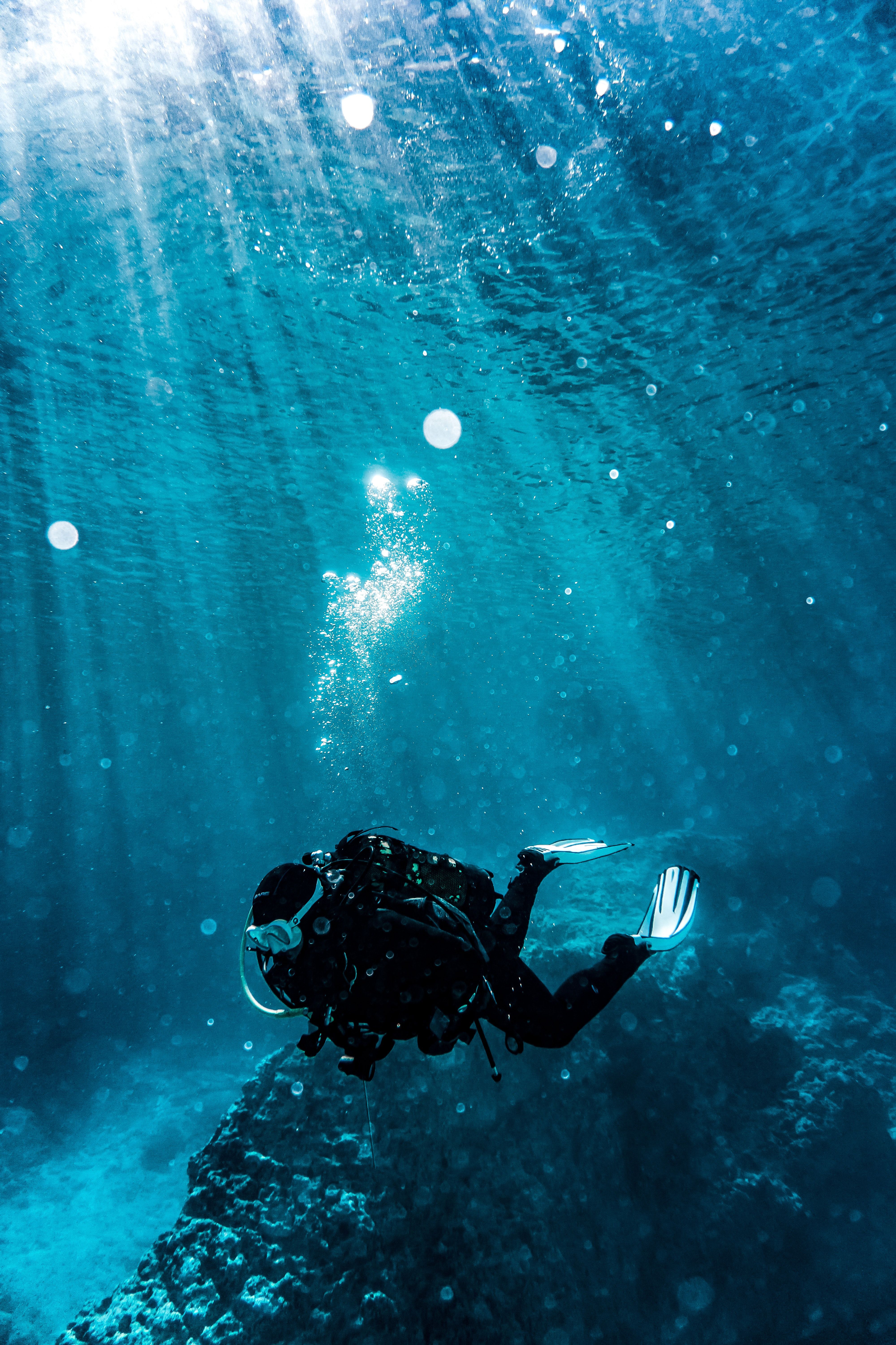  Tauchen Hintergrundbild 4000x6000. Diver Photo, Download The BEST Free Diver & HD Image
