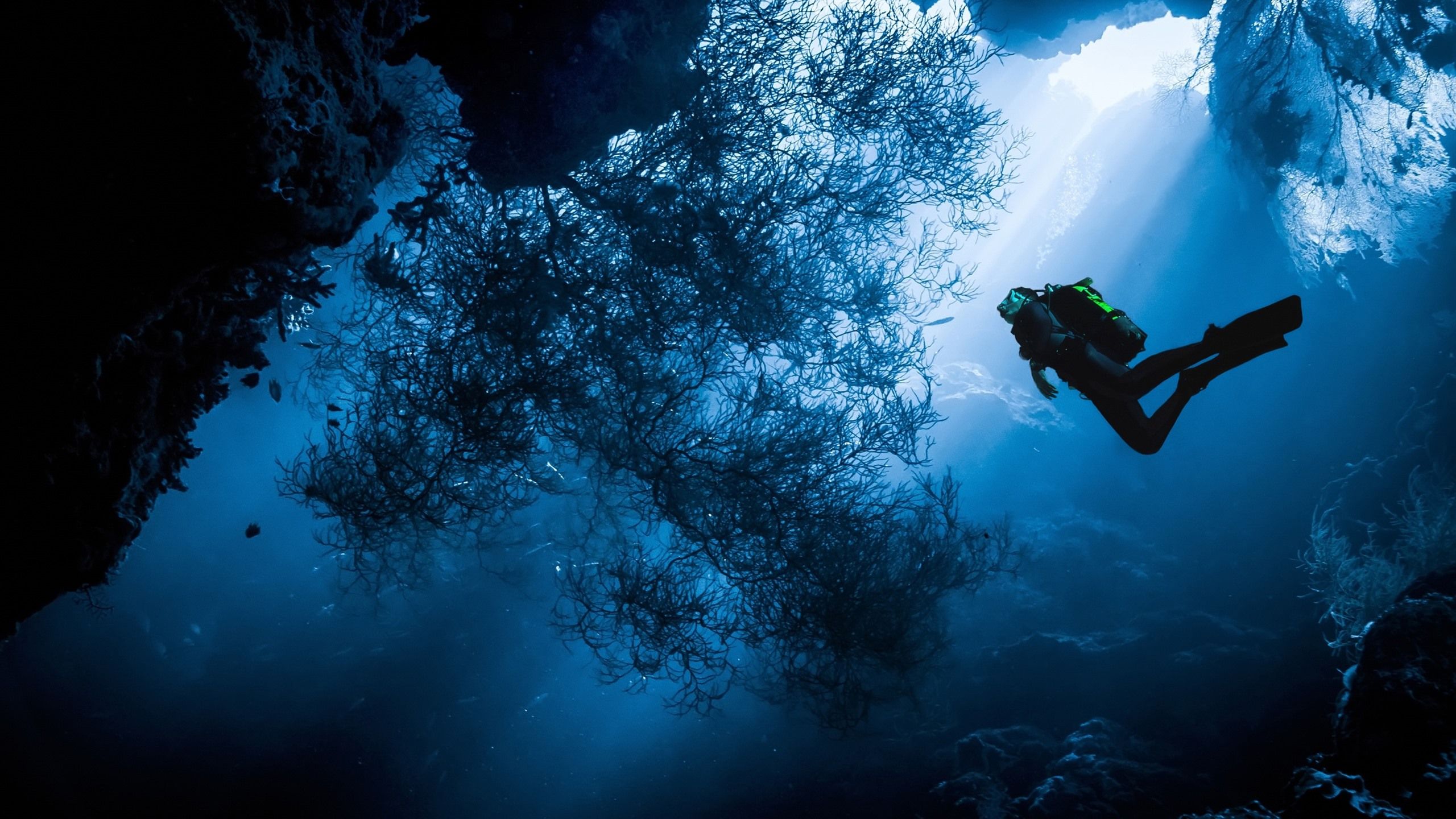  Tauchen Hintergrundbild 2560x1440. Unterwasser, Meer, Tauchen, Taucher, Felsen, Lichtstrahlen 2560x1600 HD Hintergrundbilder, HD, Bild
