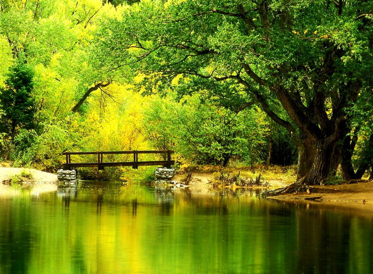 Natur Hintergrundbild 1200x883. Schönes Hintergrundbild Natur, Herbst, Grüne. Download kostenlose Hintergrundbilder