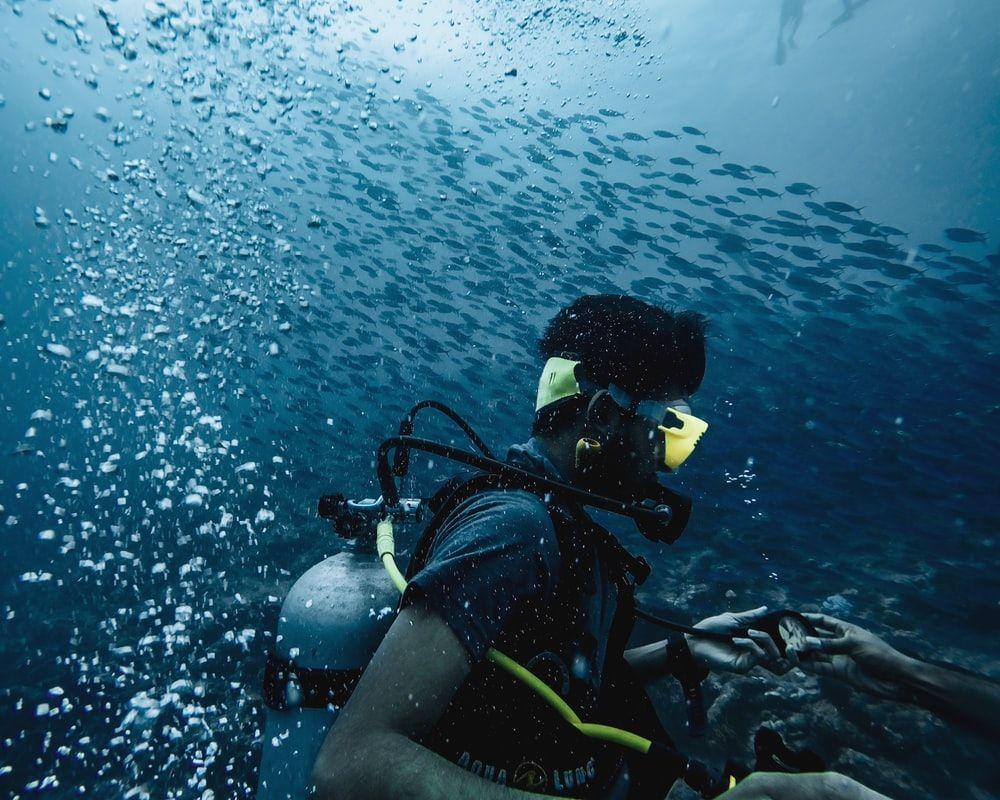  Tauchen Hintergrundbild 1000x800. Scuba Diving Wallpaper Free Scuba Diving Background