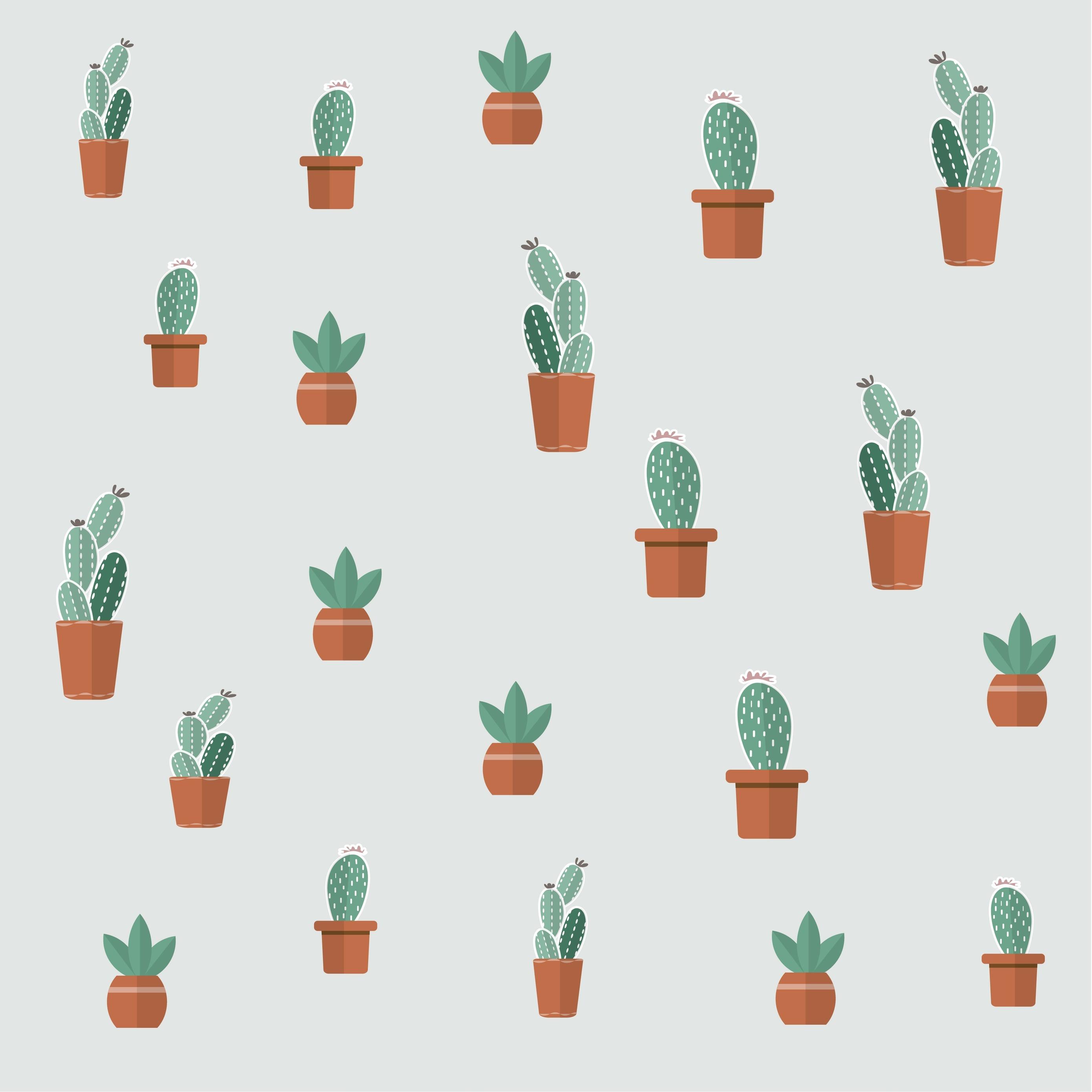  Kakteen Hintergrundbild 2780x2780. Cute Aesthetic Cactus Wallpaper