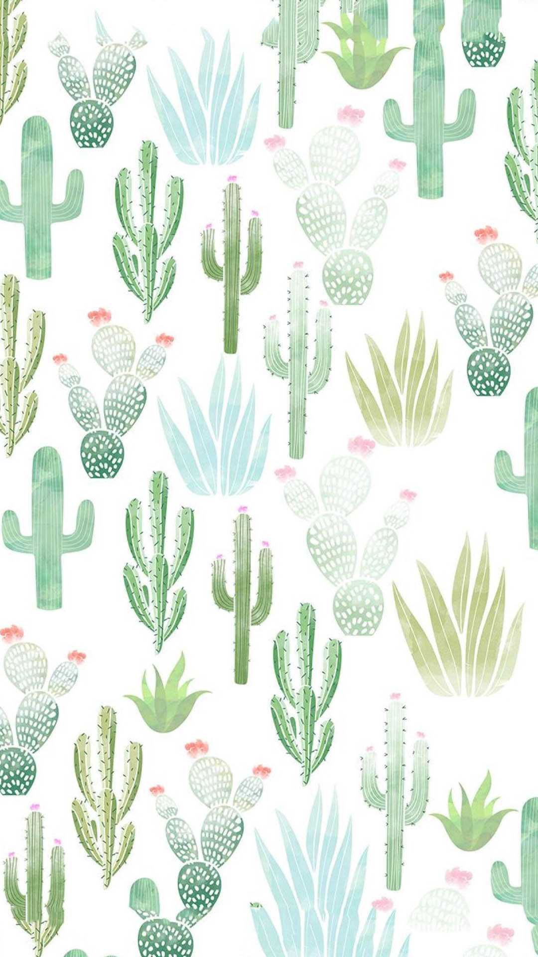  Kaktus Hintergrundbild 1080x1920. Aesthetic Cactus Wallpaper