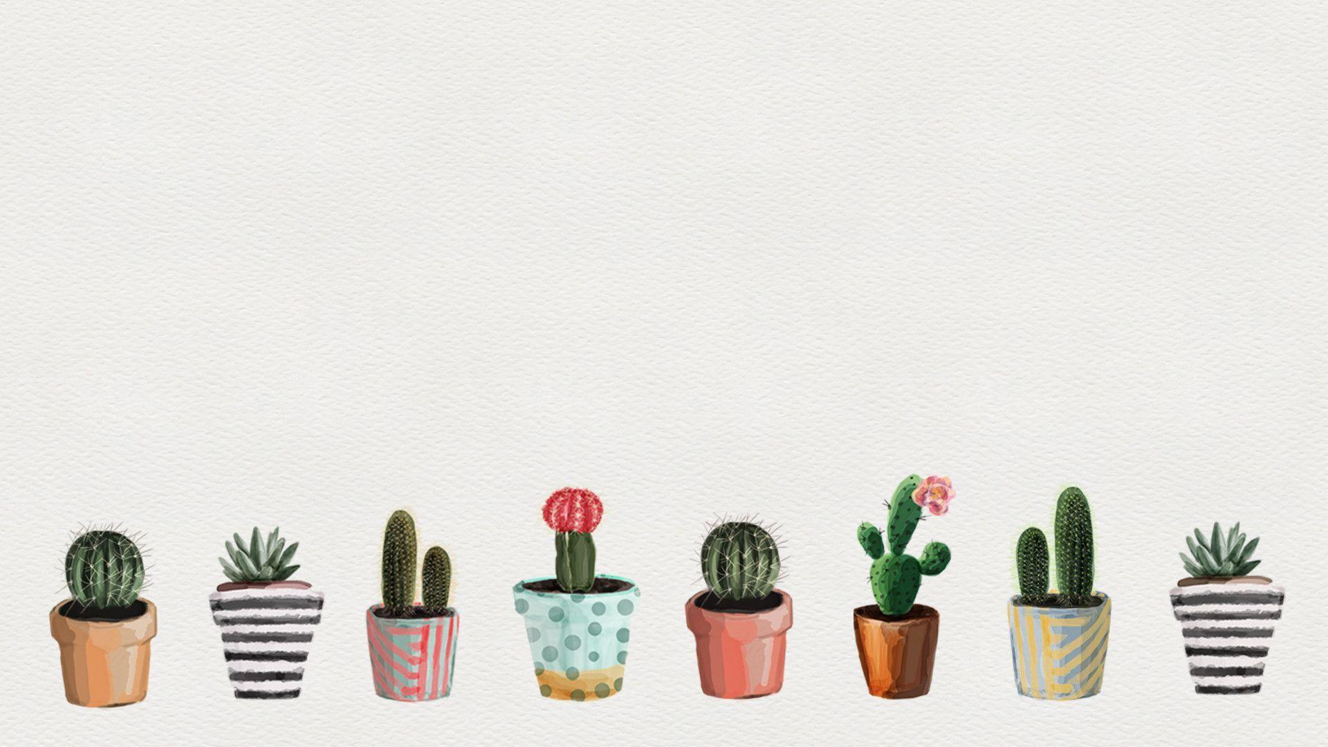  Kakteen Hintergrundbild 1920x1080. Aesthetic Cactus Wallpaper Free Aesthetic Cactus Background