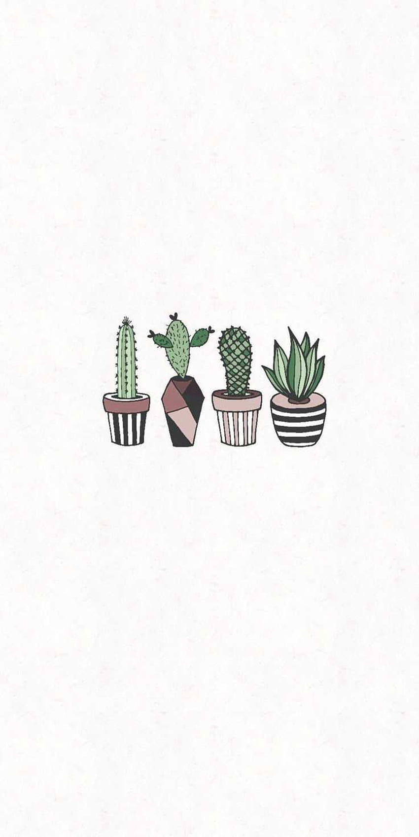  Kaktus Hintergrundbild 850x1697. Aesthetic cactus HD phone wallpaper