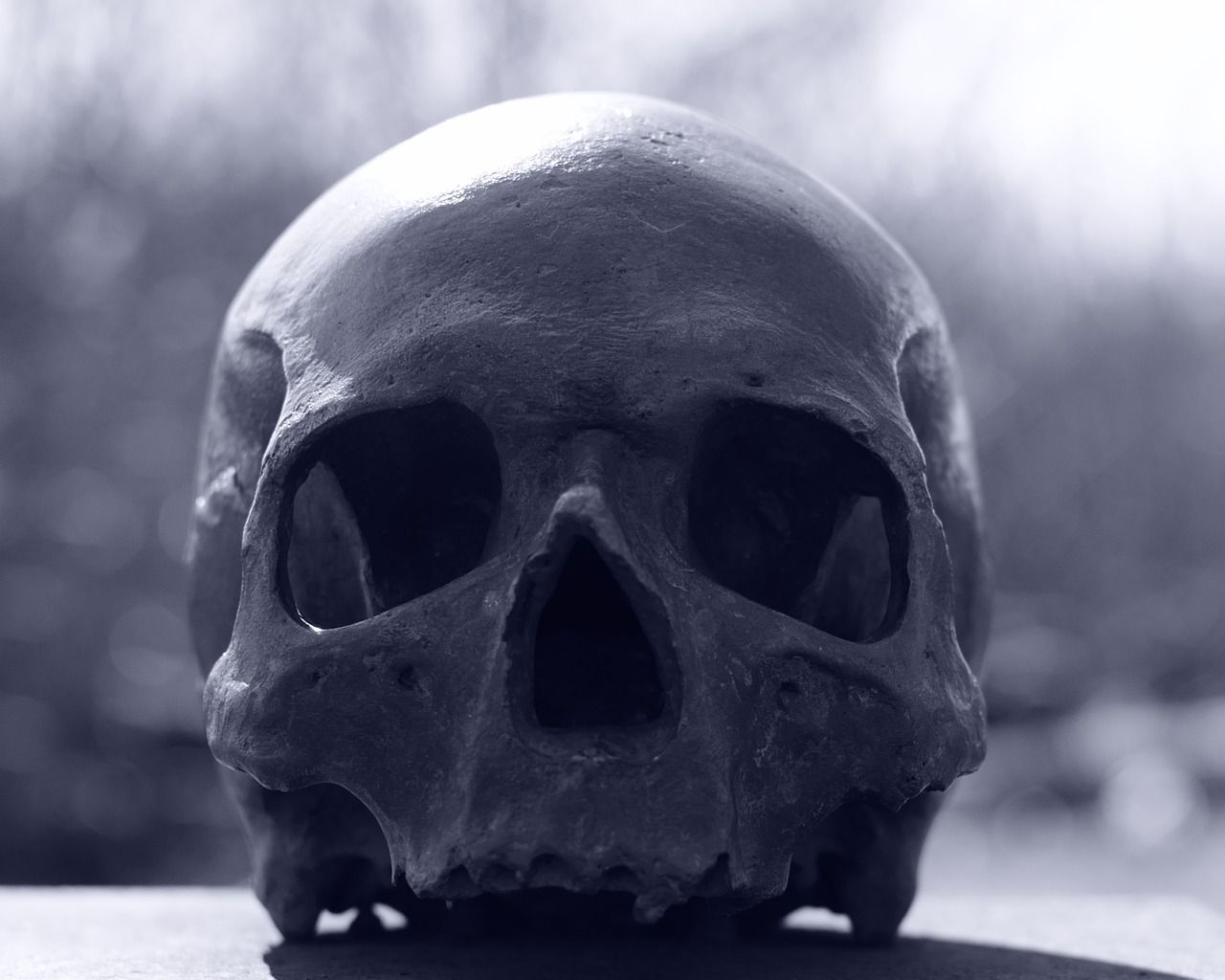  Totenkopf Hintergrundbild 1280x1024. Totenkopf Schädel Mensch Foto auf Pixabay