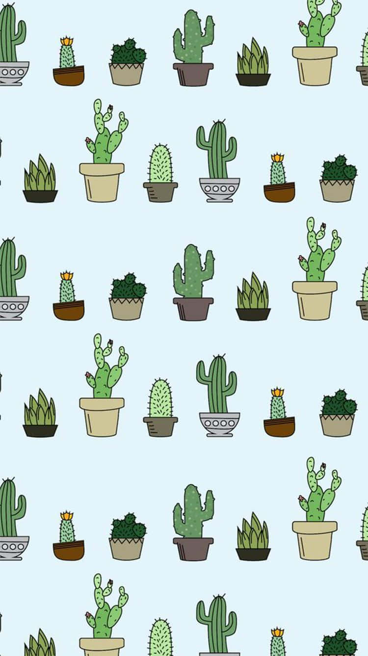  Kakteen Hintergrundbild 750x1334. Download A Pattern Of Cactus Plants In Pots Wallpaper