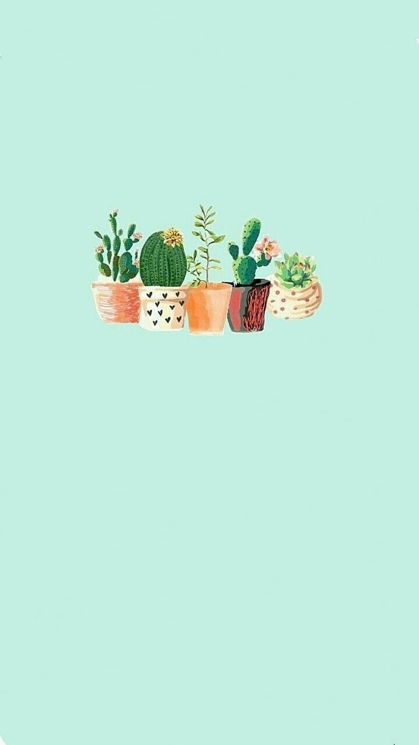  Kaktus Hintergrundbild 850x1511. Cactus Aesthetic, Green Cactus HD phone wallpaper