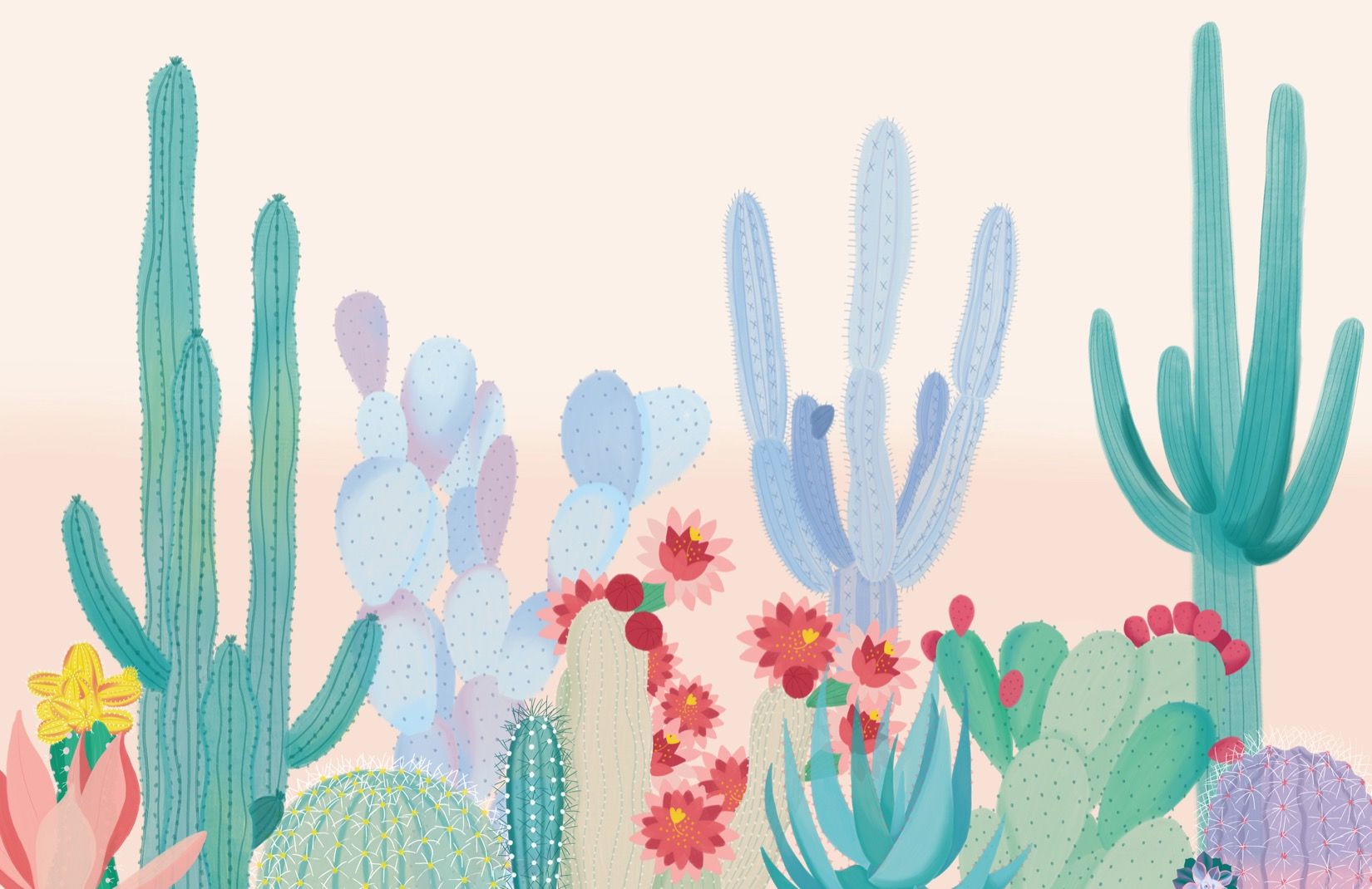  Kakteen Hintergrundbild 1650x1070. Cute Cactus Wallpaper Online.k12.tr 1689618178