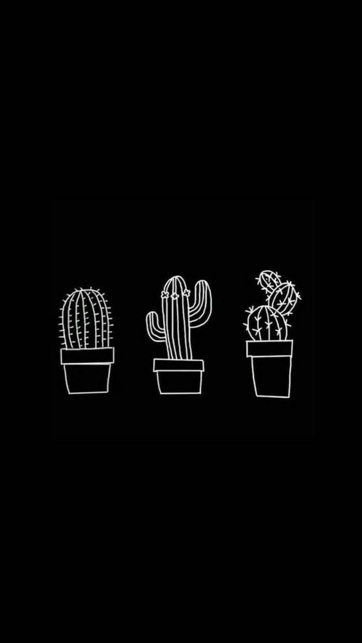  Kaktus Hintergrundbild 736x1308. Download Cute Black Cactus Aesthetic Wallpaper
