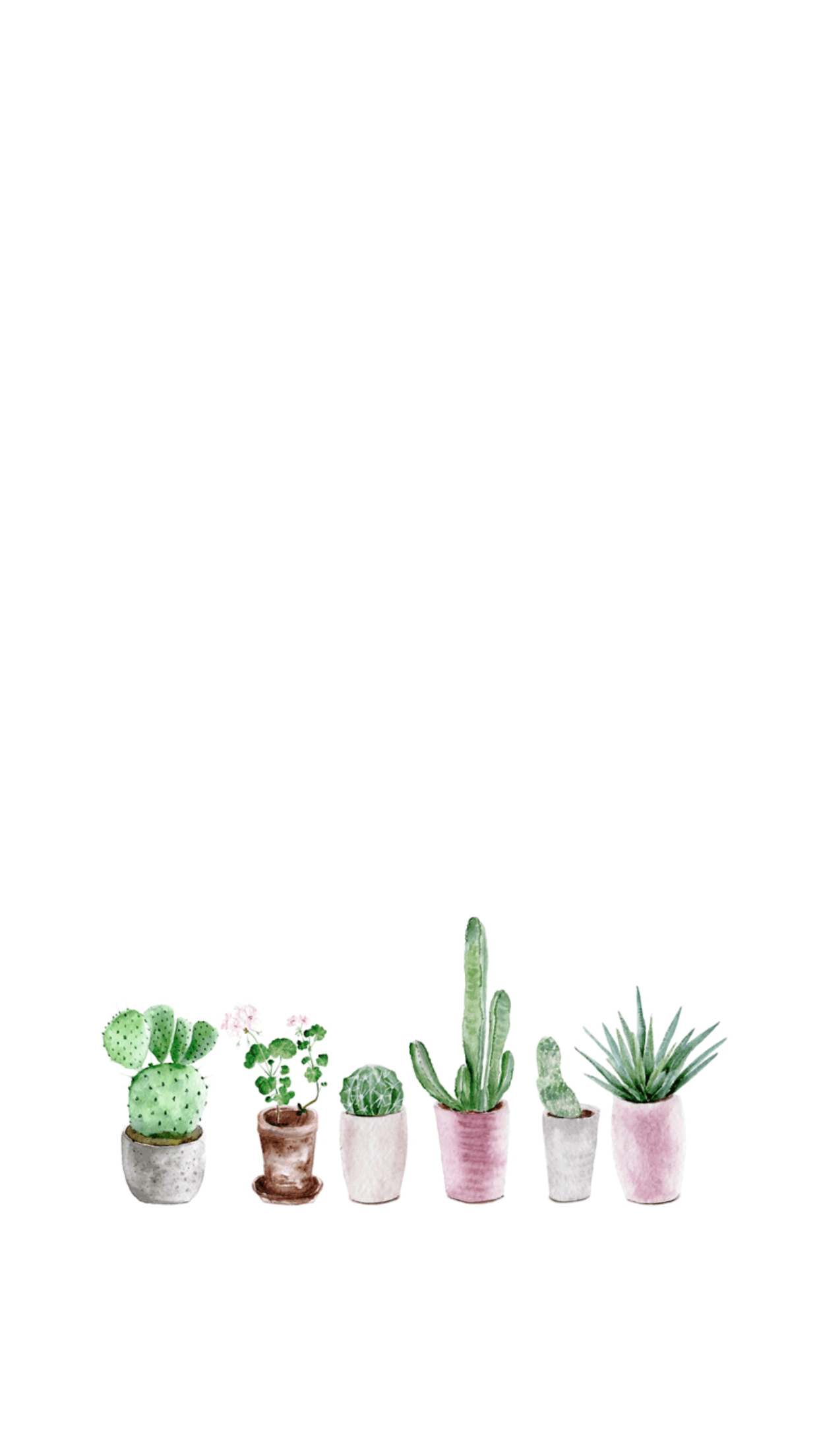  Kakteen Hintergrundbild 1242x2208. Colorful Cactuses Aesthetic Wallpaper