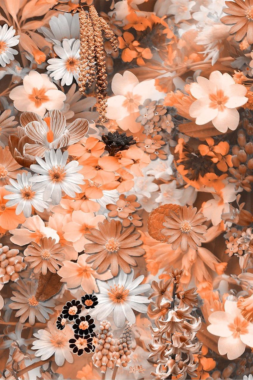  Frühlingsblumen Hintergrundbild 850x1275. Frühlingsblumen Collage, Frühlingsblumen Collage HD Hintergrundbild